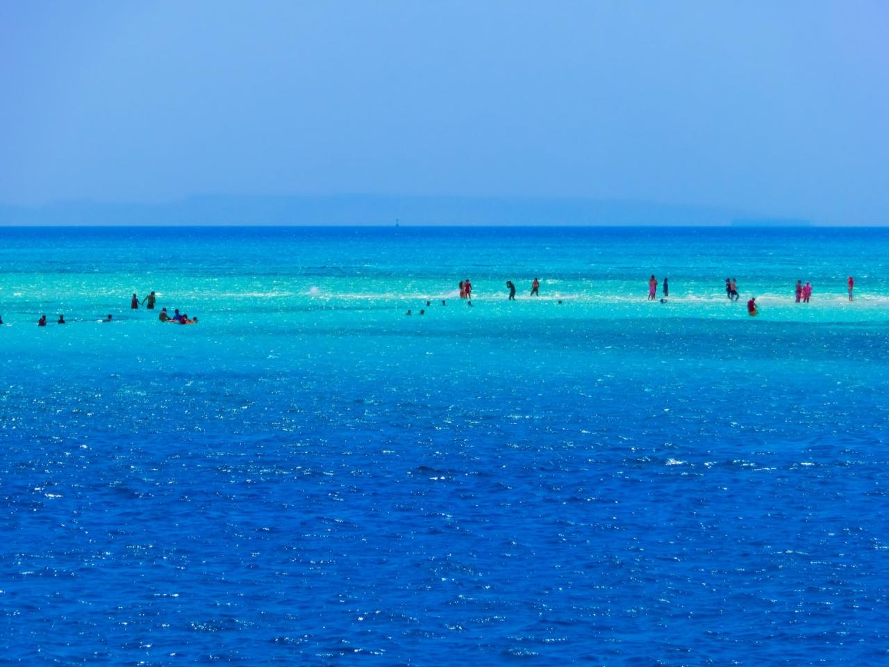 Ras Mohamed & White Island Full-Day Snorkel, Dive & Cruise from Sharm