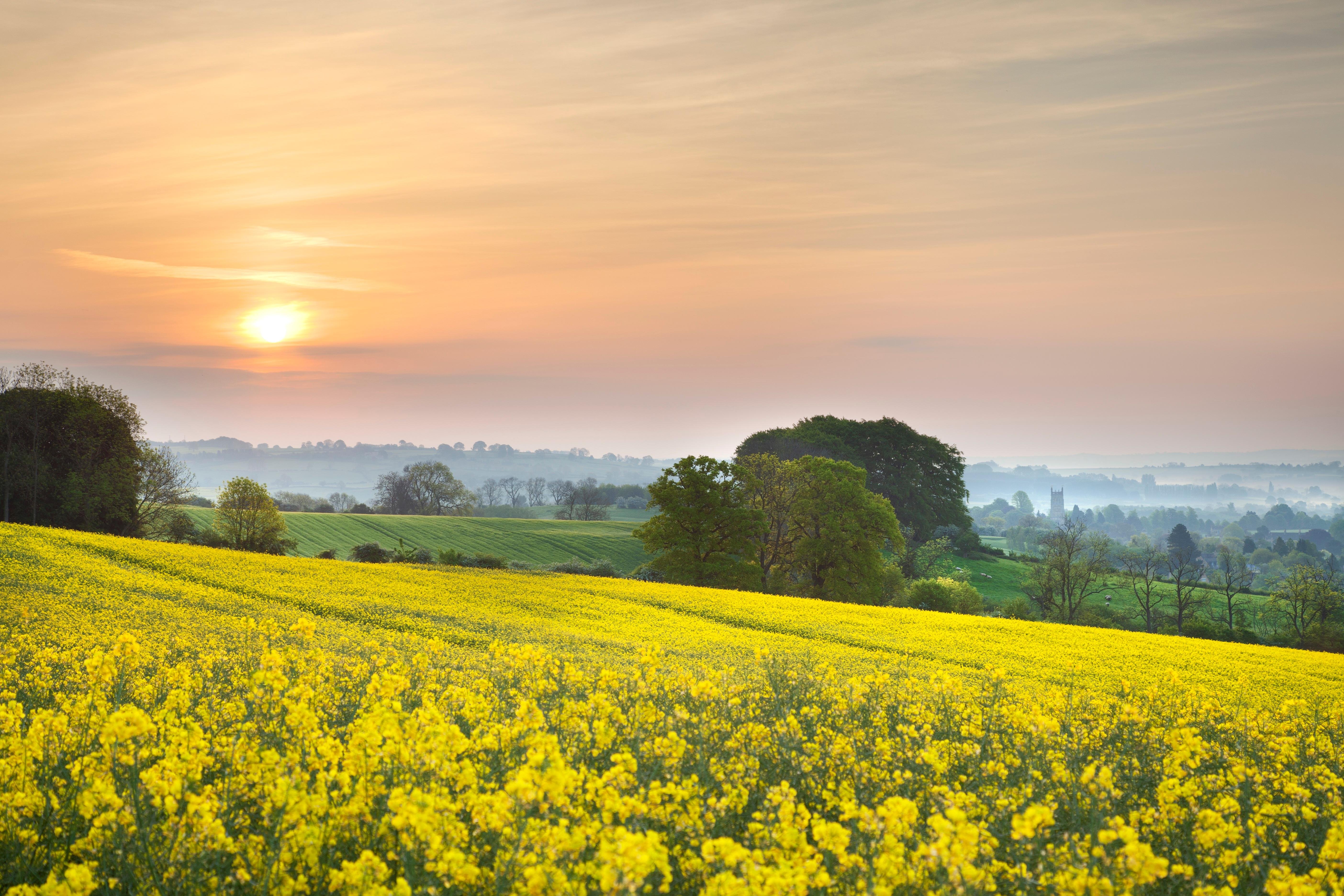 Private Cotswolds Day Tour from Bath