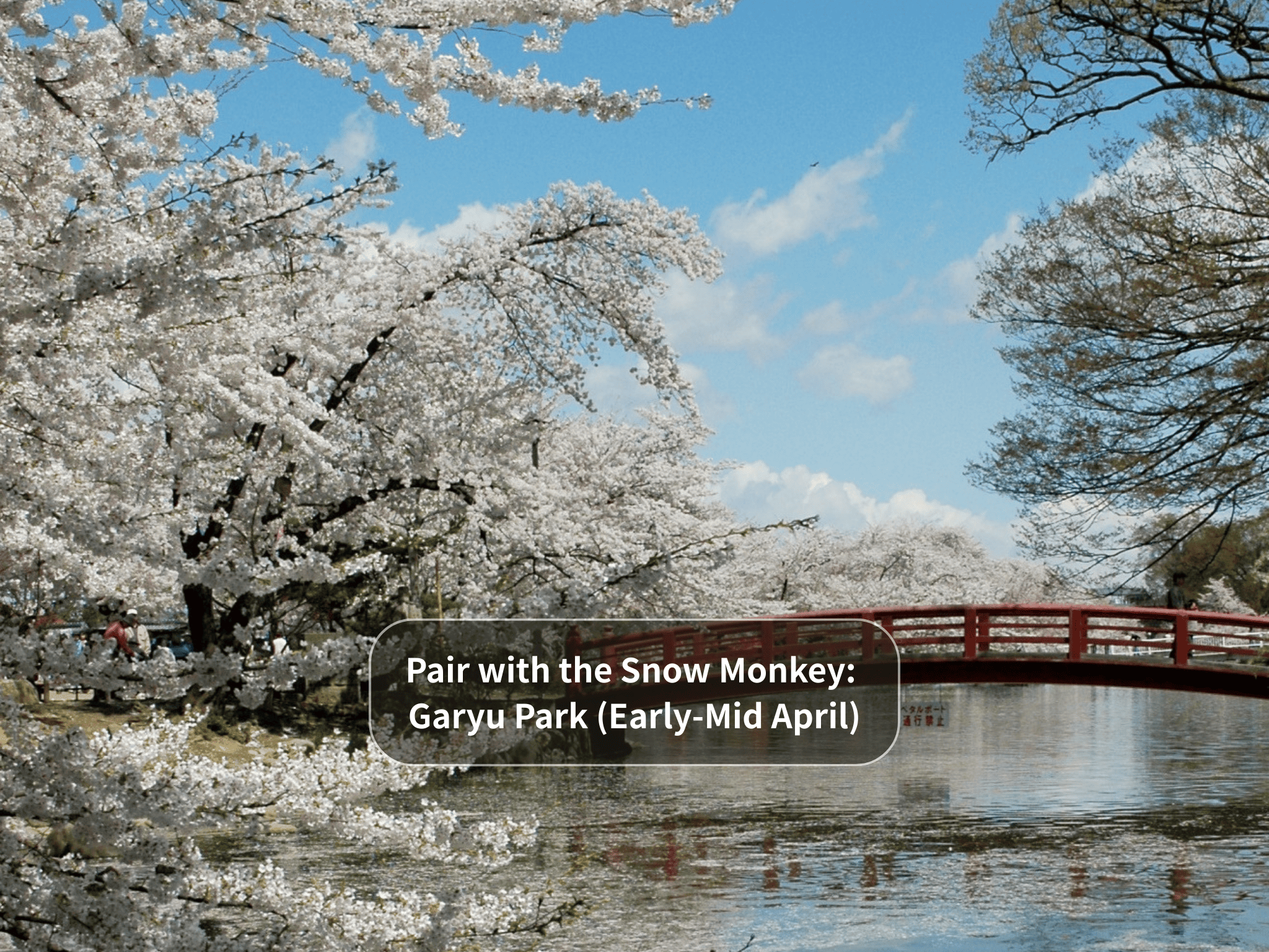 Nagano Snow Monkeys & Hidden Gems Private Day Tour