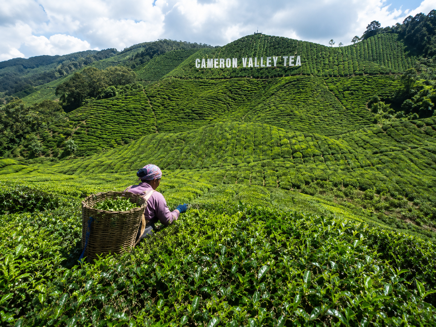 4-Day Private Malaysia Tour: Fireflies, Highlands & Melaka