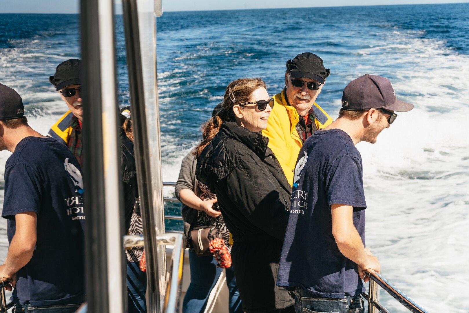 Monterey Bay whale watching tour — whales and marine wildlife — image 8