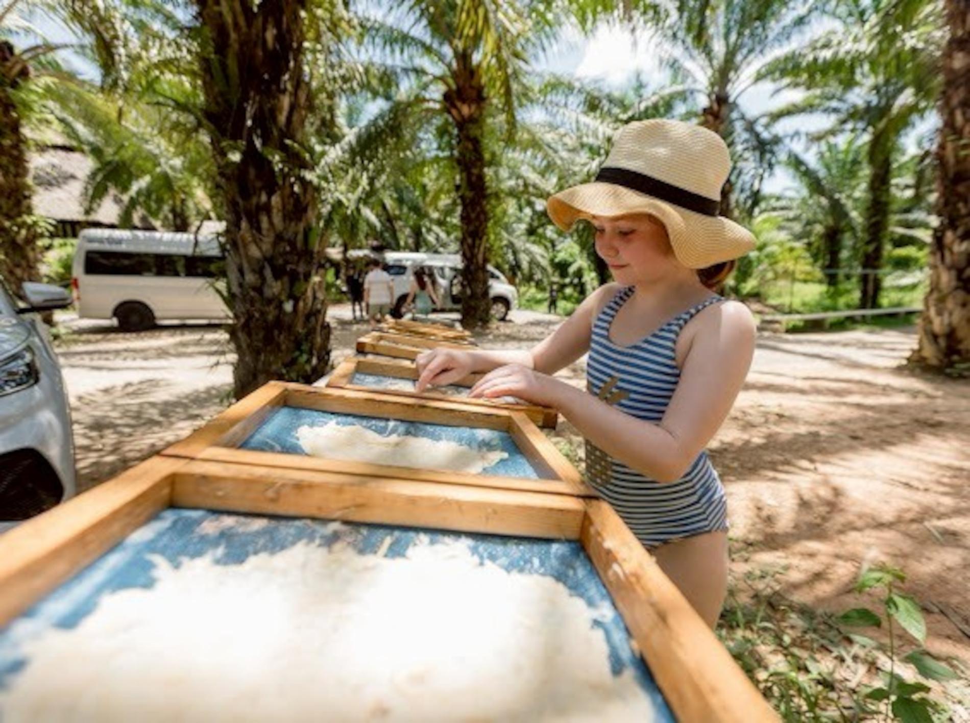 Khao Sok Elephant Rescue & Bamboo River Raft from Krabi