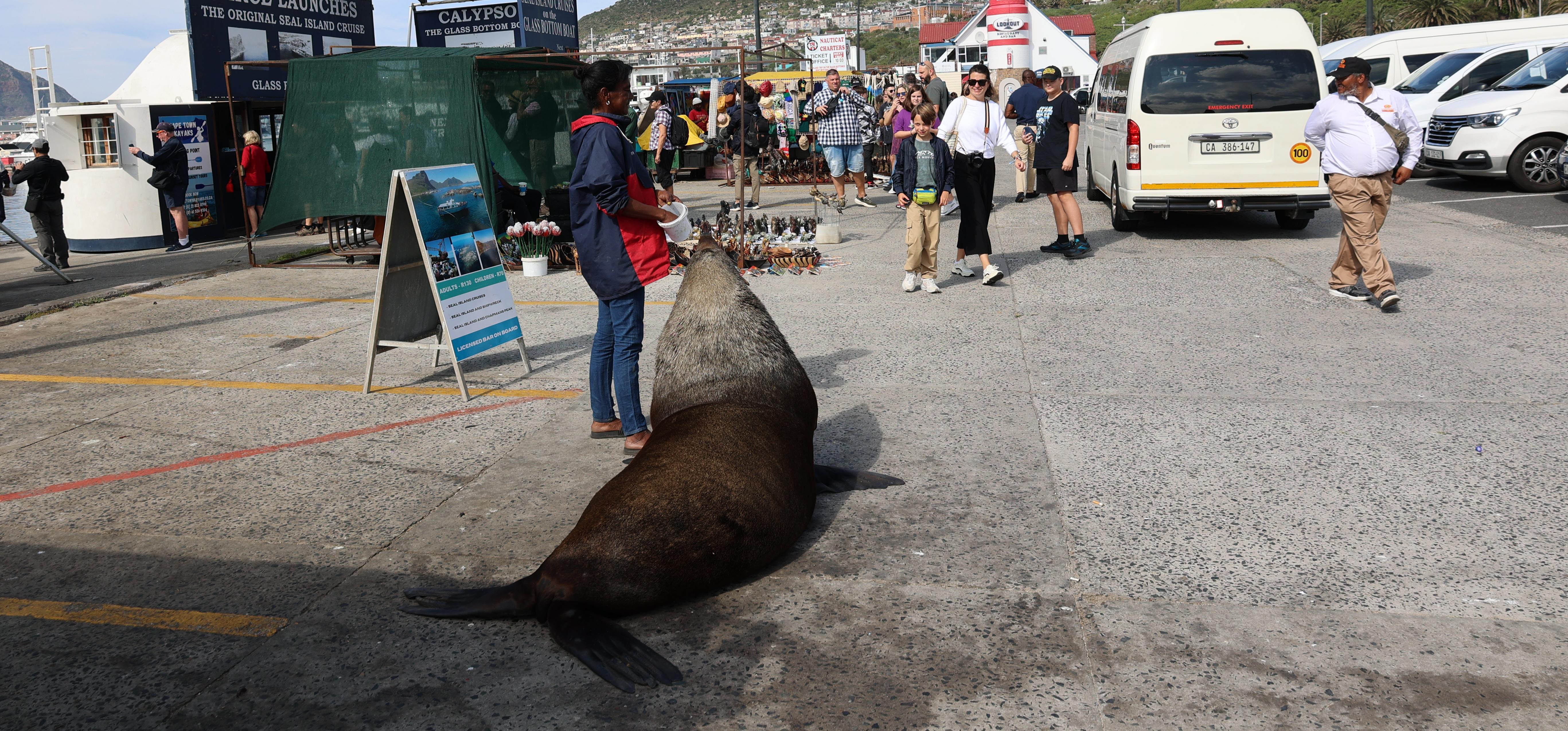 Cape Point & Boulders Beach Full-Day Tour from Cape Town