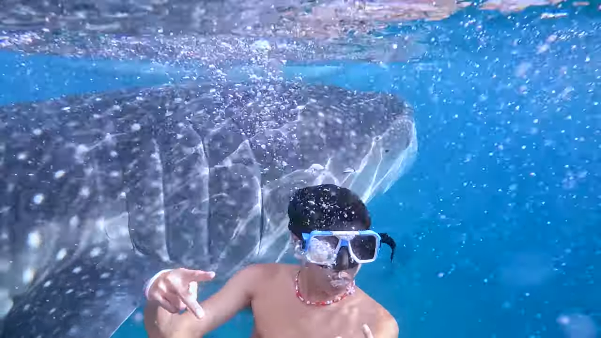 Oslob Triple Adventure: Whale Sharks, Tumalog Falls & Sumilon Island