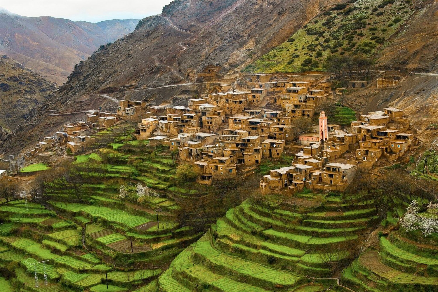 High Atlas Mountains Day Trek with Berber Lunch