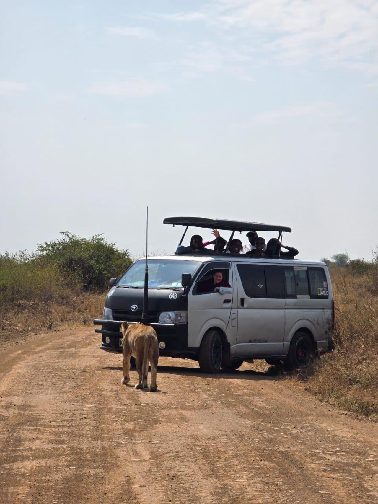Nairobi National Park 5-Hour 4x4 Wildlife Safari