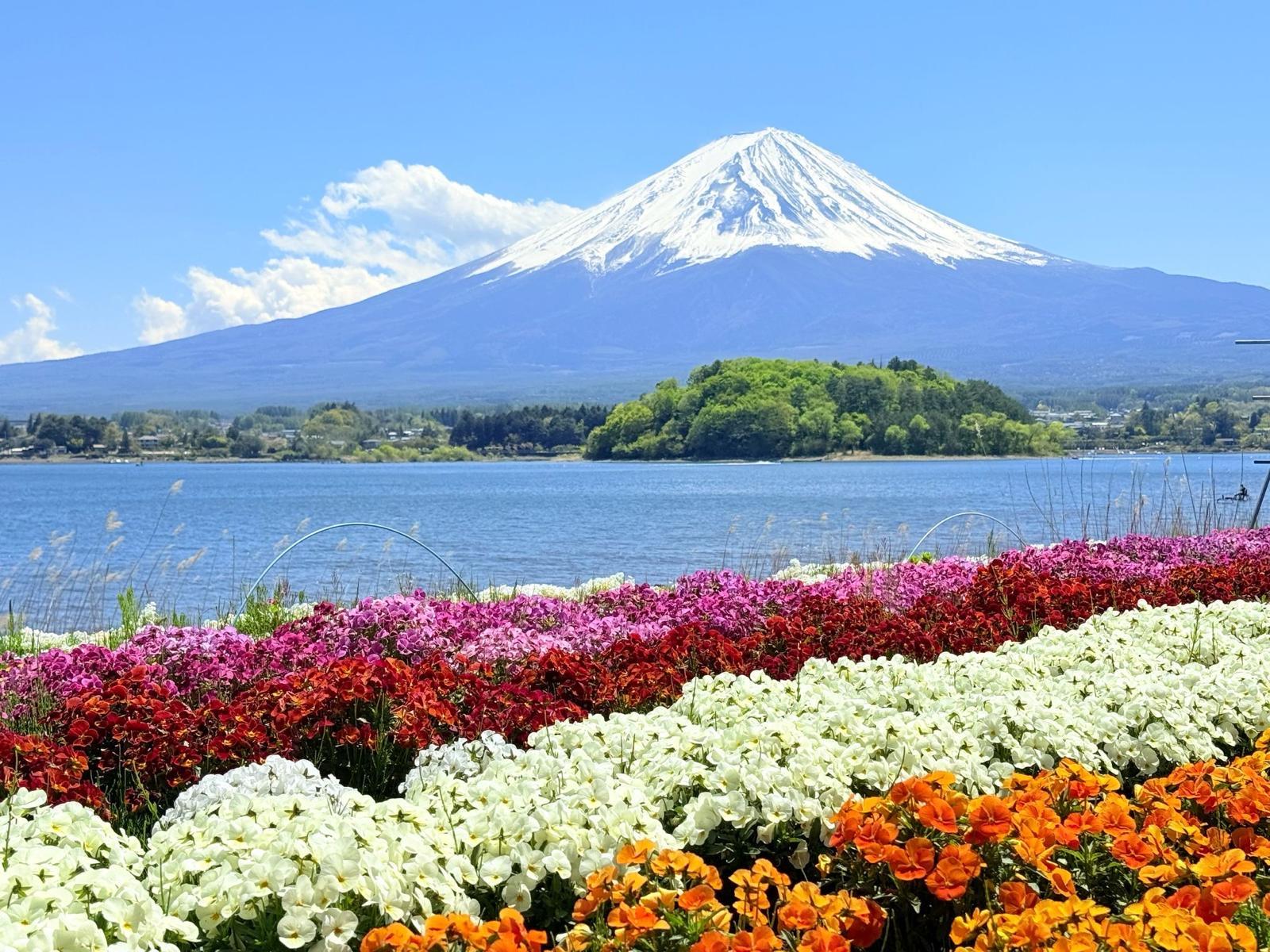 Tokyo to Mt. Fuji Private Luxury Day Tour with Hotel Pickup