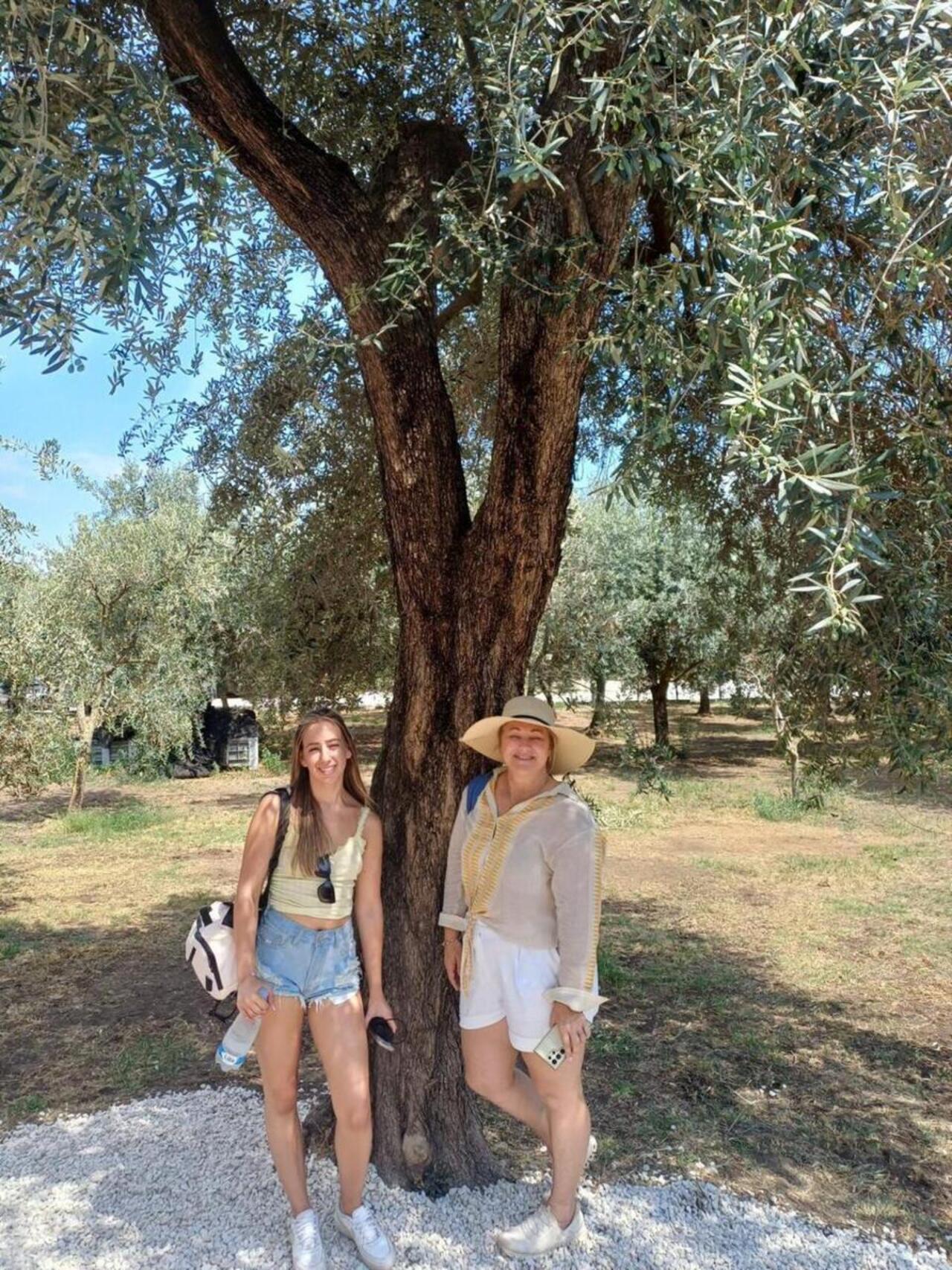 Pompeii Discovery: Ancient Ruins, Wine Tasting, and Lunch
