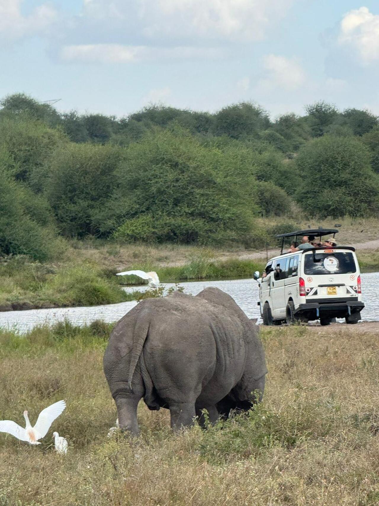 Nairobi National Park 5-Hour 4x4 Wildlife Safari