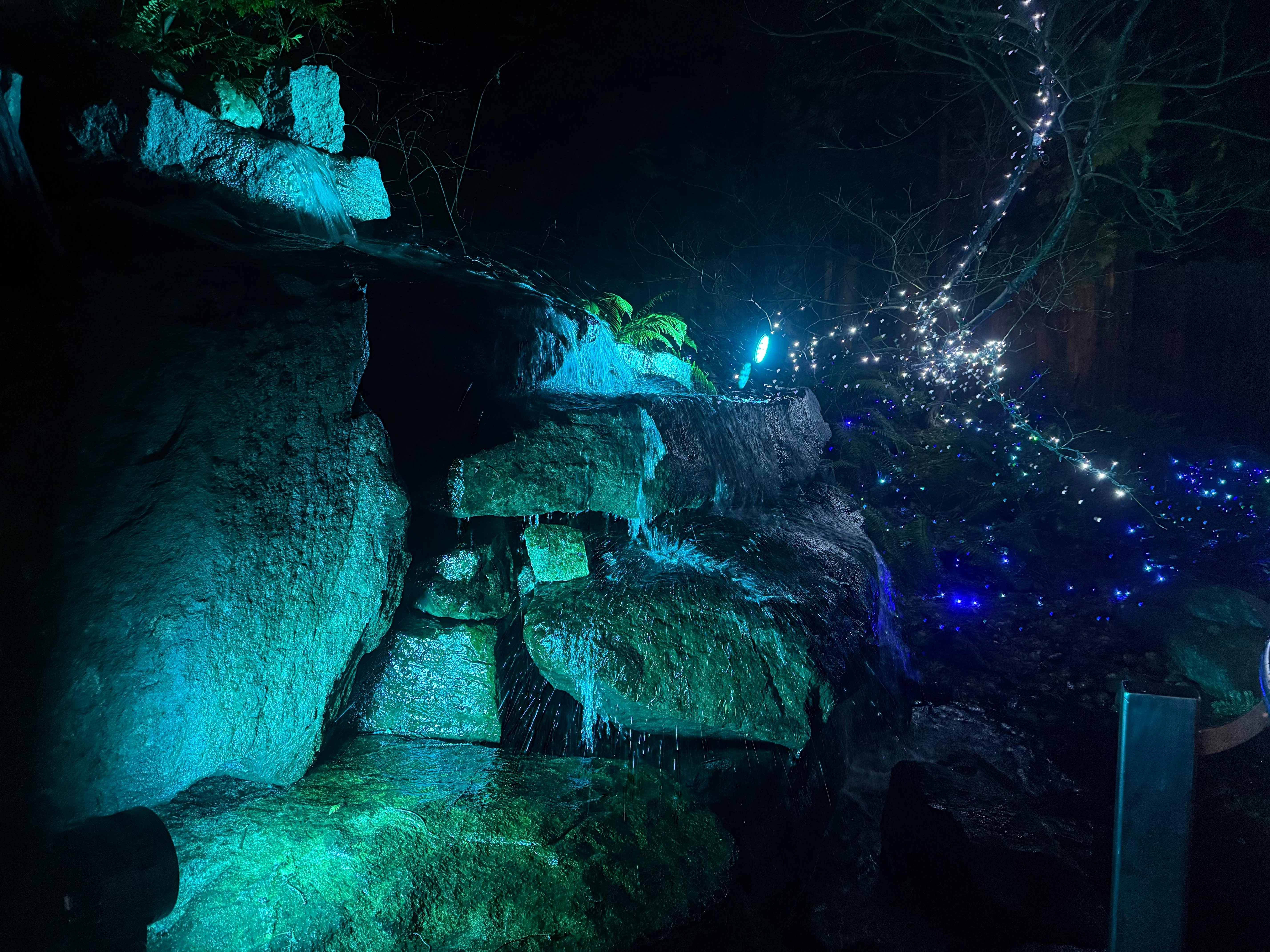 Capilano Suspension Bridge & Stanley Park Small Group Tour