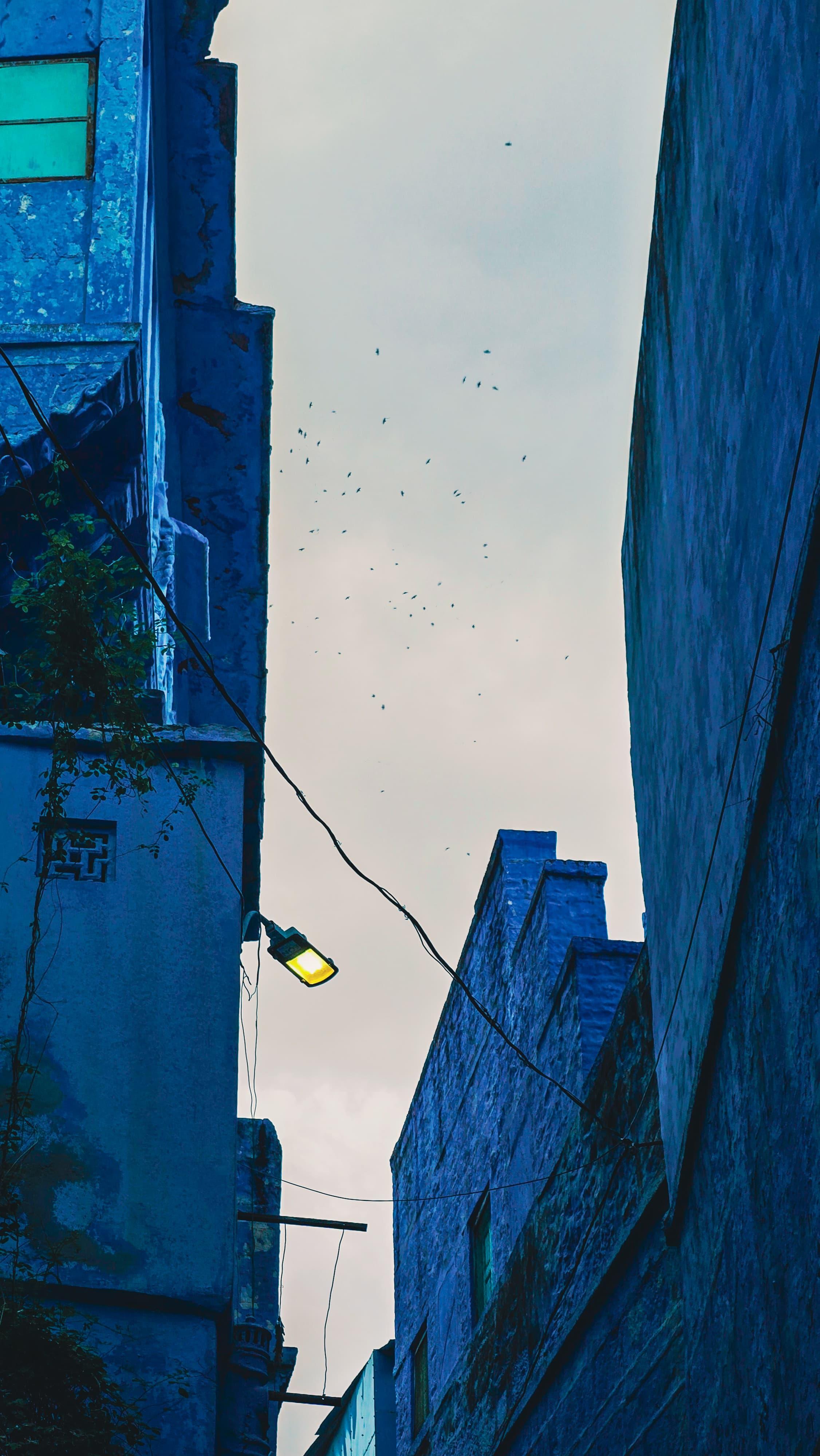 Jodhpur Blue City Heritage Walking Tour