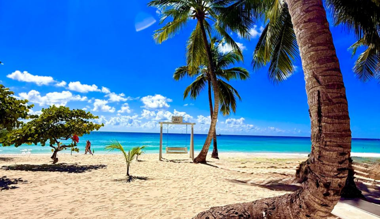 Saona Island Catamaran & Natural Pool Day Trip