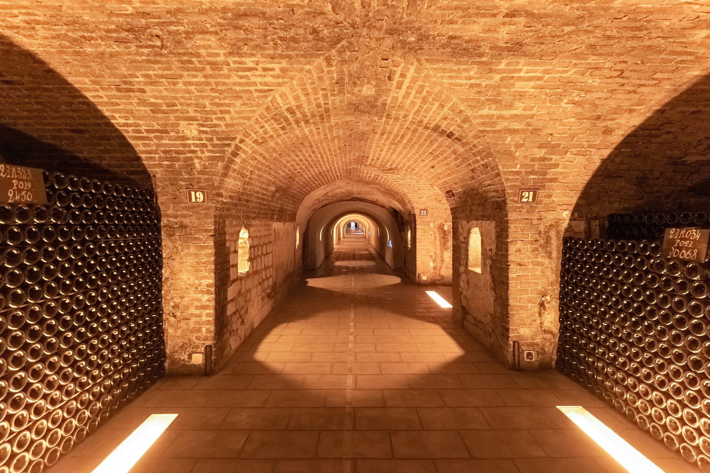 Champagne Day Trip from Paris with 8 Tastings & Lunch