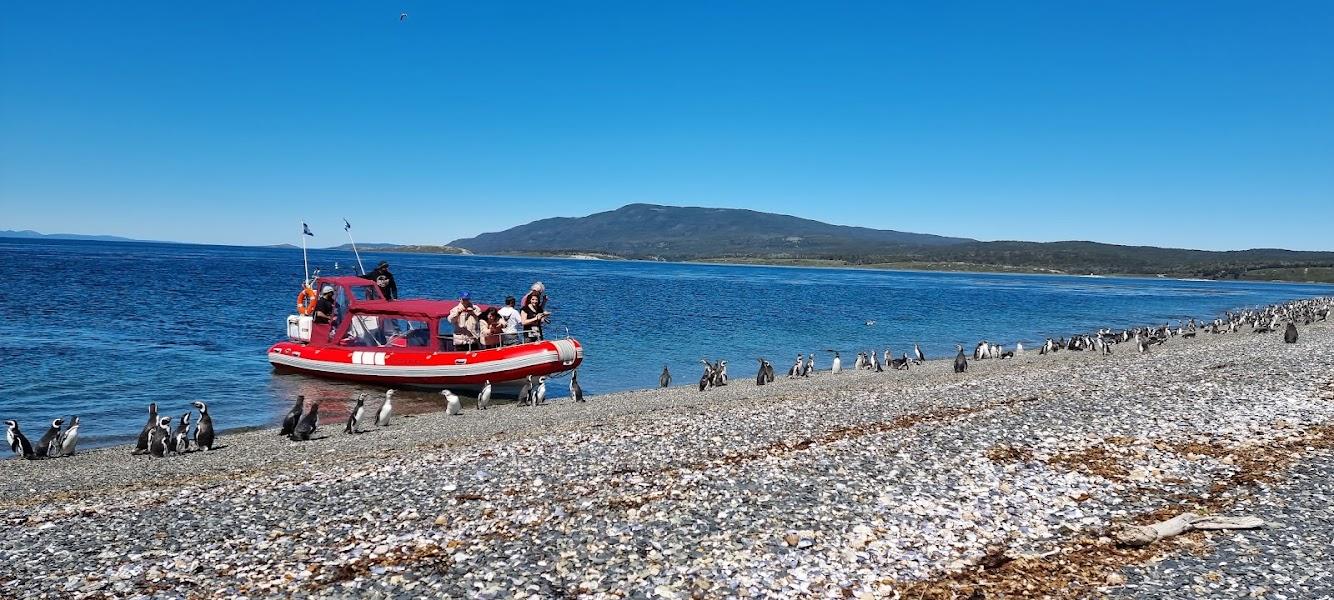 Puerto Almanza & Penguin Colony Boat Expedition