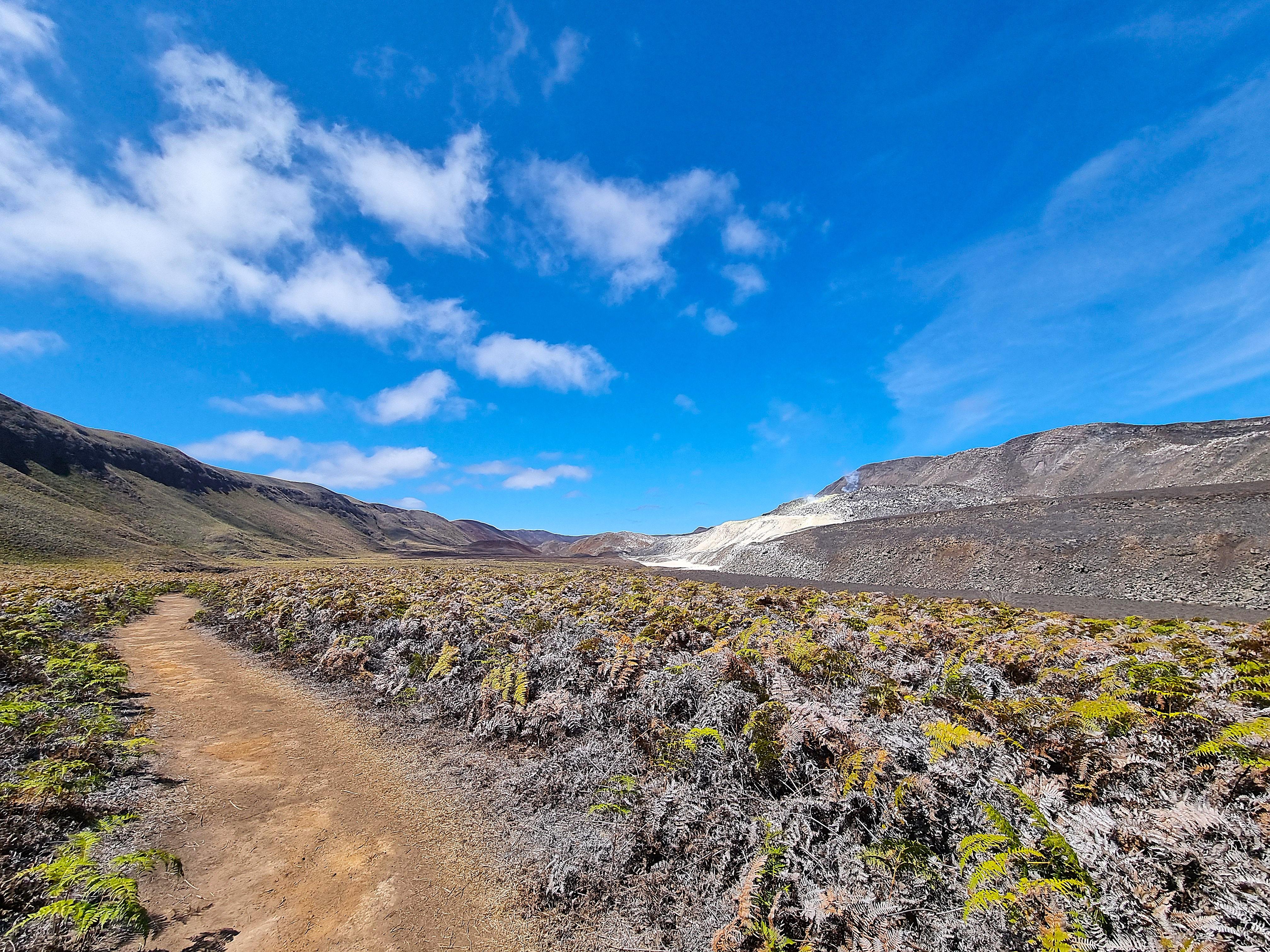 Galápagos Premium 4-Day Expedition: Nature & Luxury