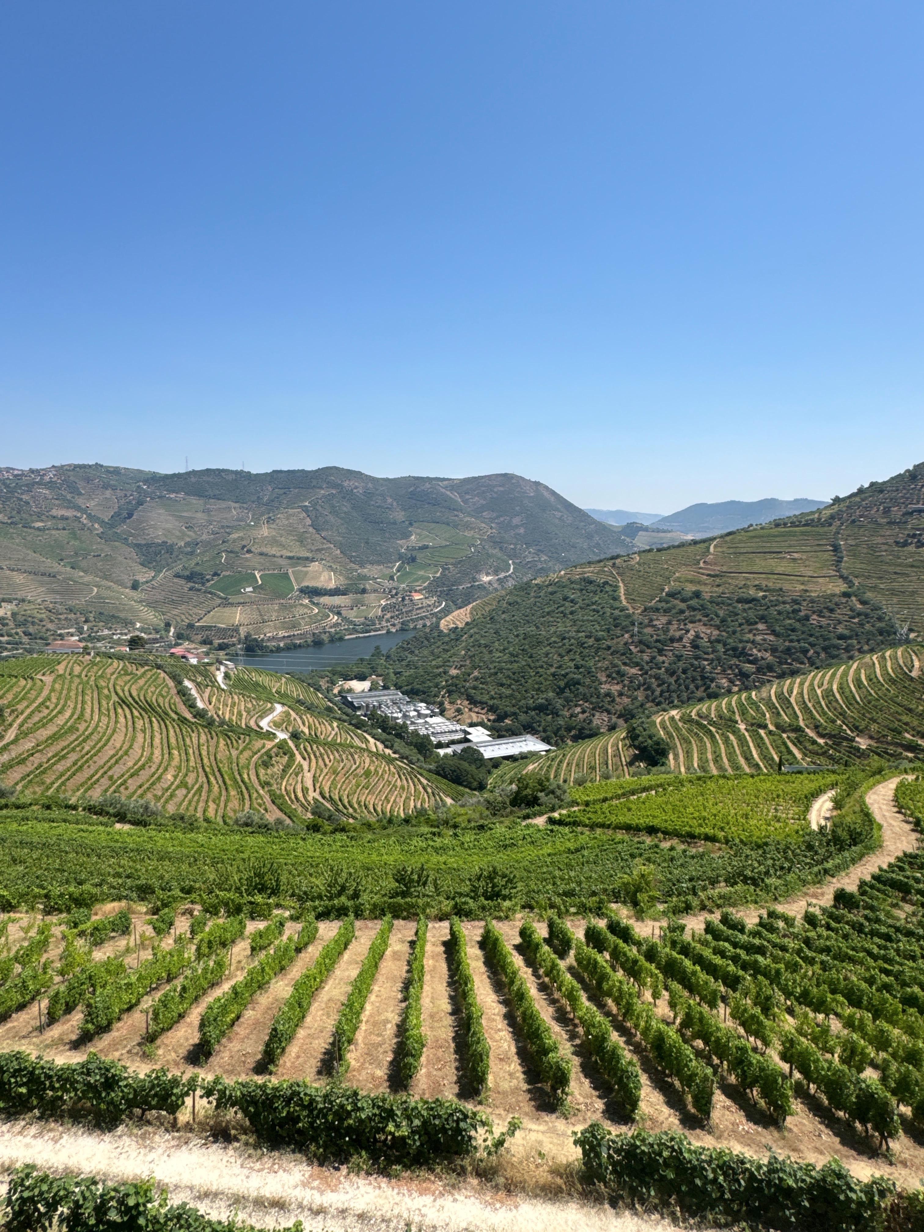 Douro Valley Private Tour with River Cruise