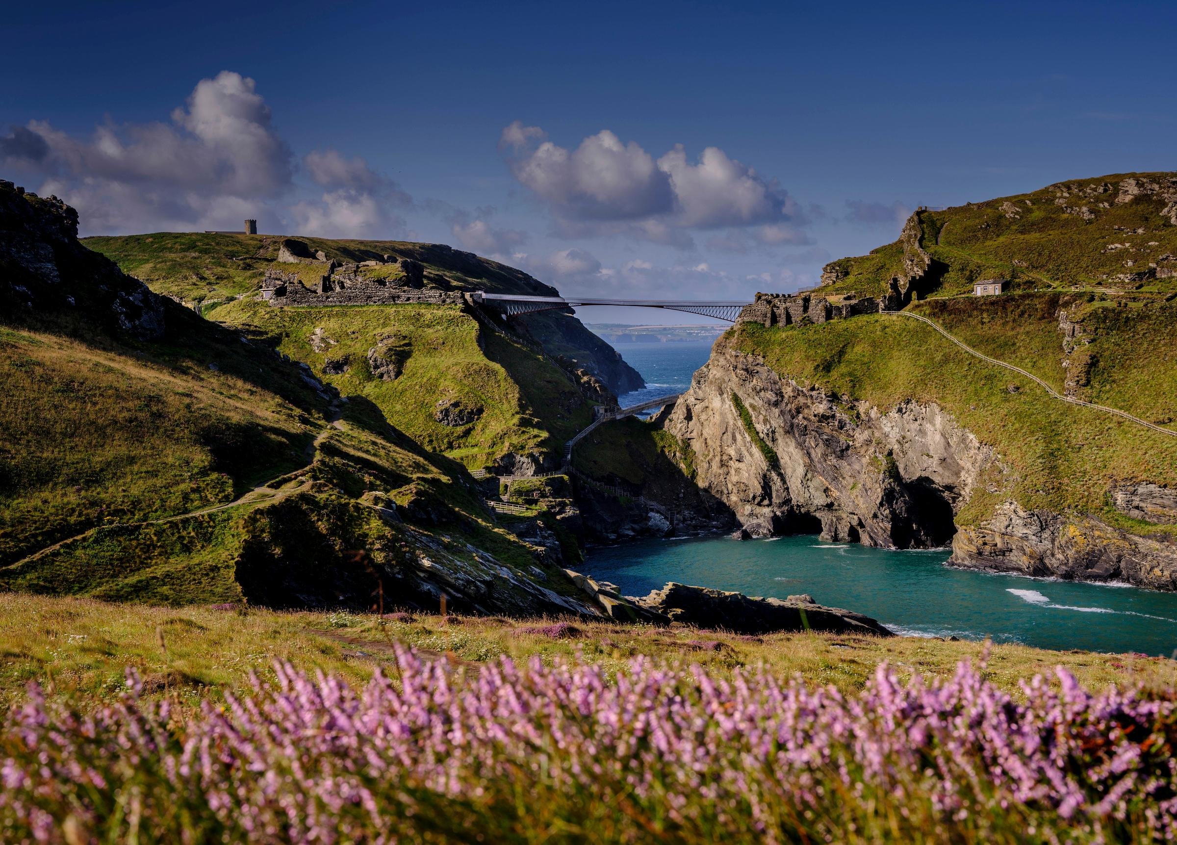 Tintagel Castle Admission Ticket