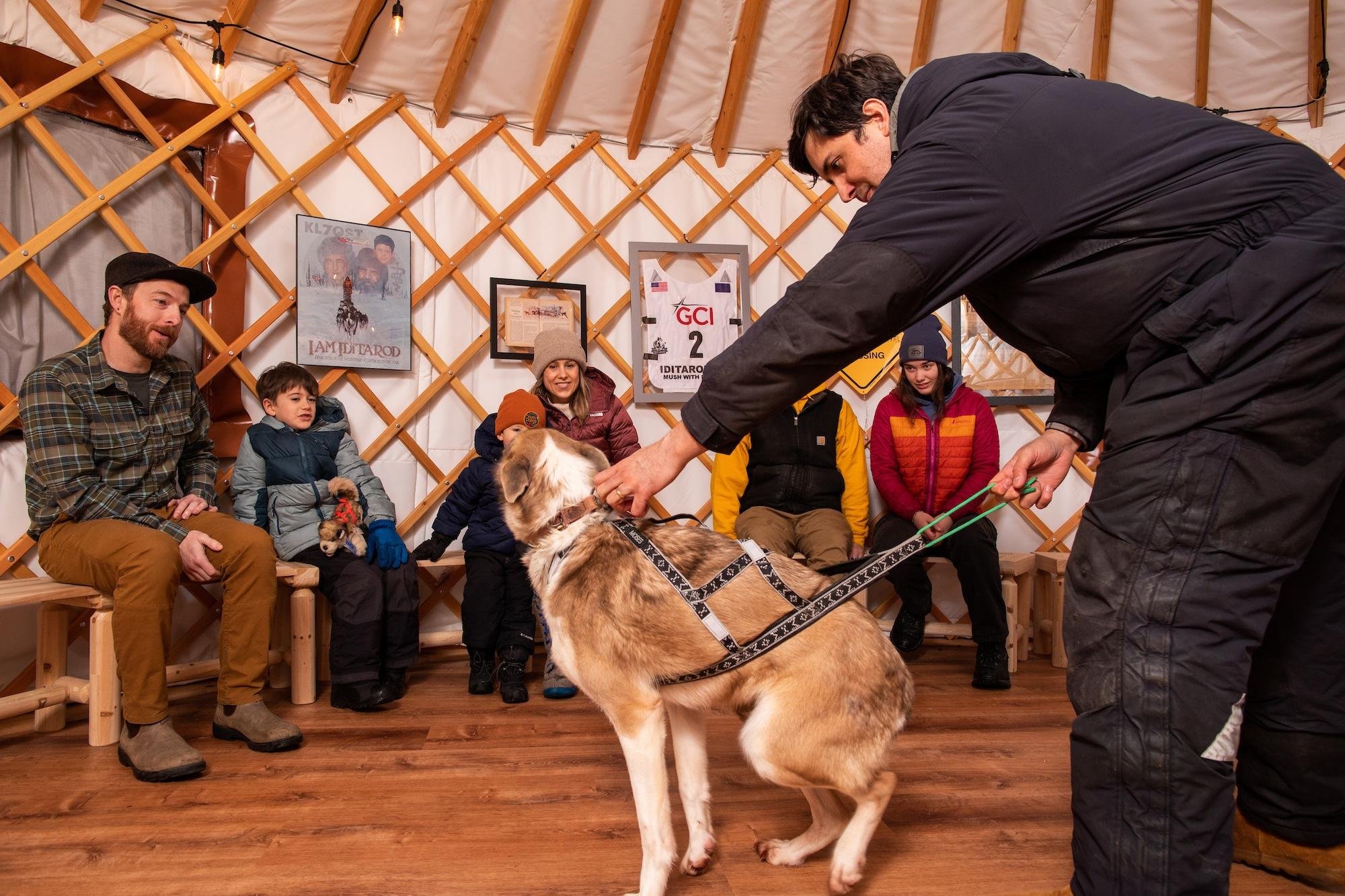Iditarod Kennel Tour with Champion Sled Dogs