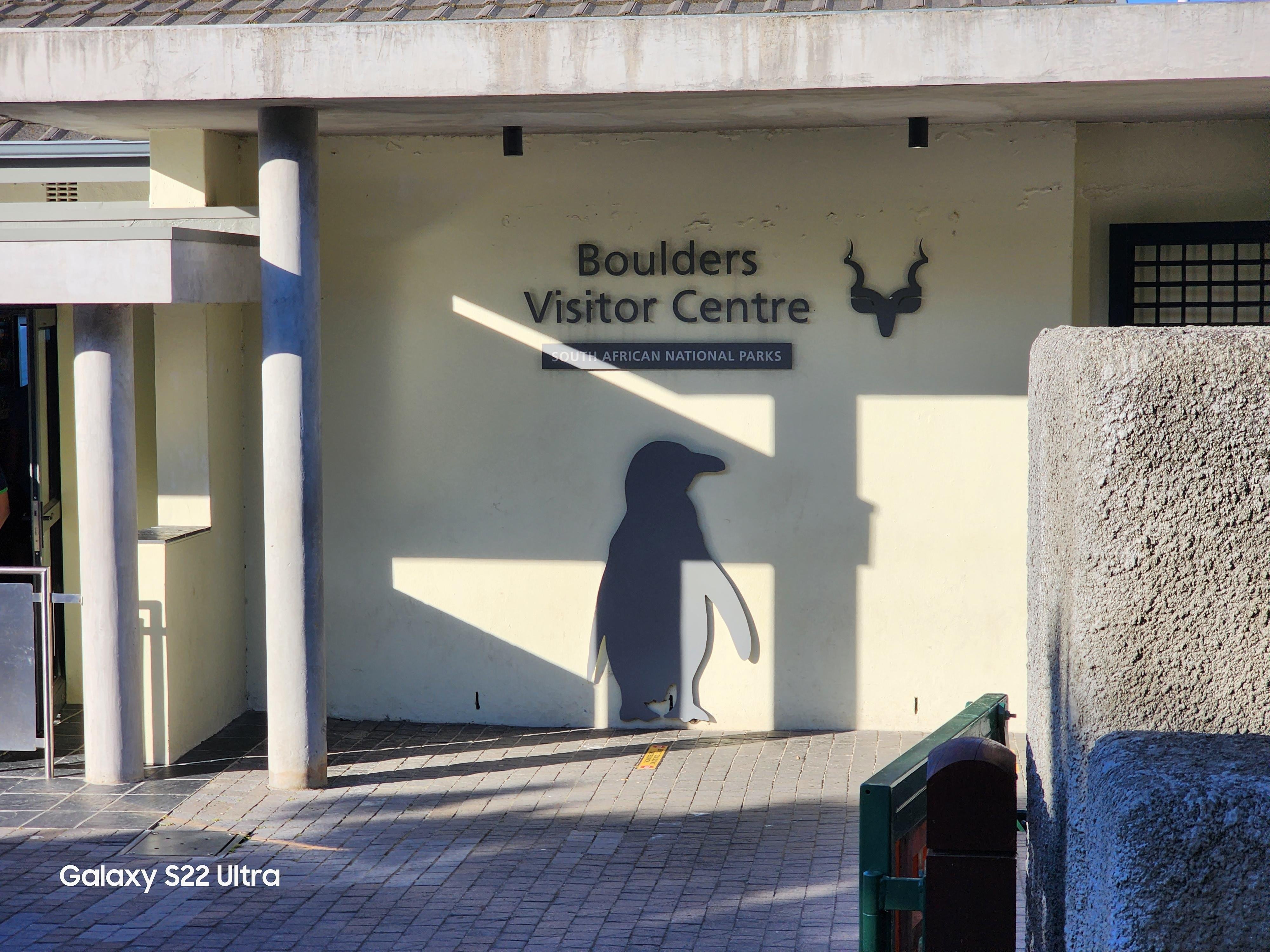 Half-Day Cape Peninsula & Penguin Colony Private Tour