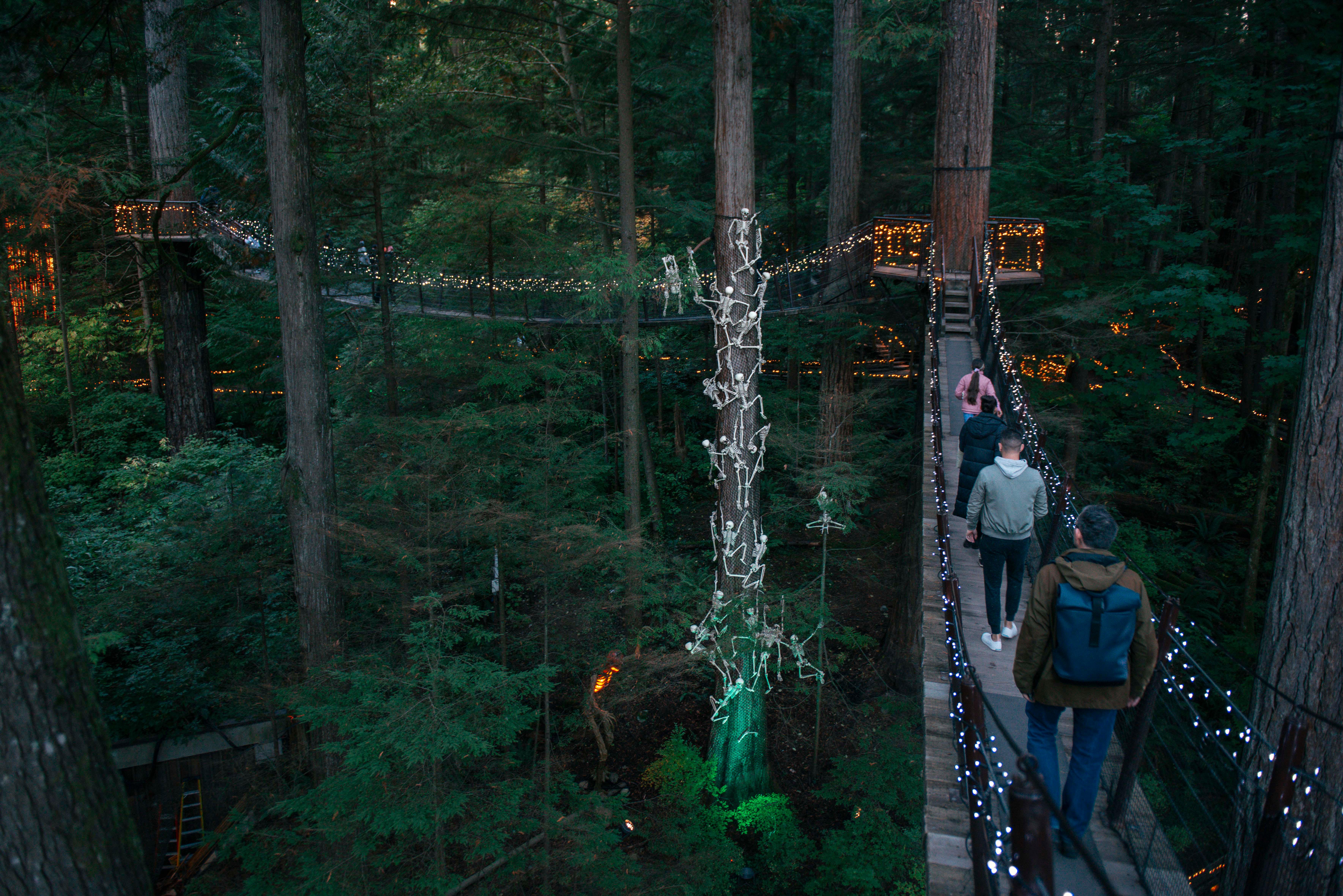 Vancouver North Shore & Capilano Canyon Lights Explorer