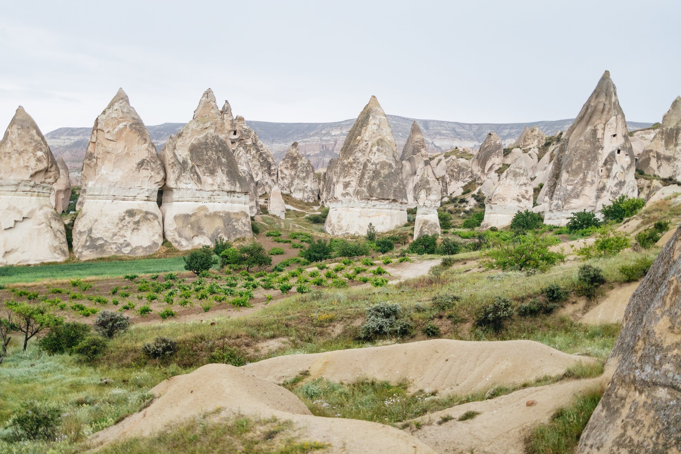 Cappadocia Quad Bike Valley Adventure: Daytime or Sunset