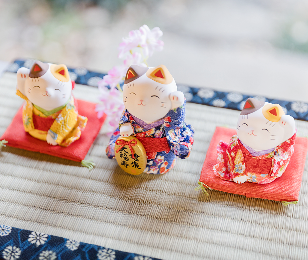 Shinjuku Gyoen Kimono Rental Experience