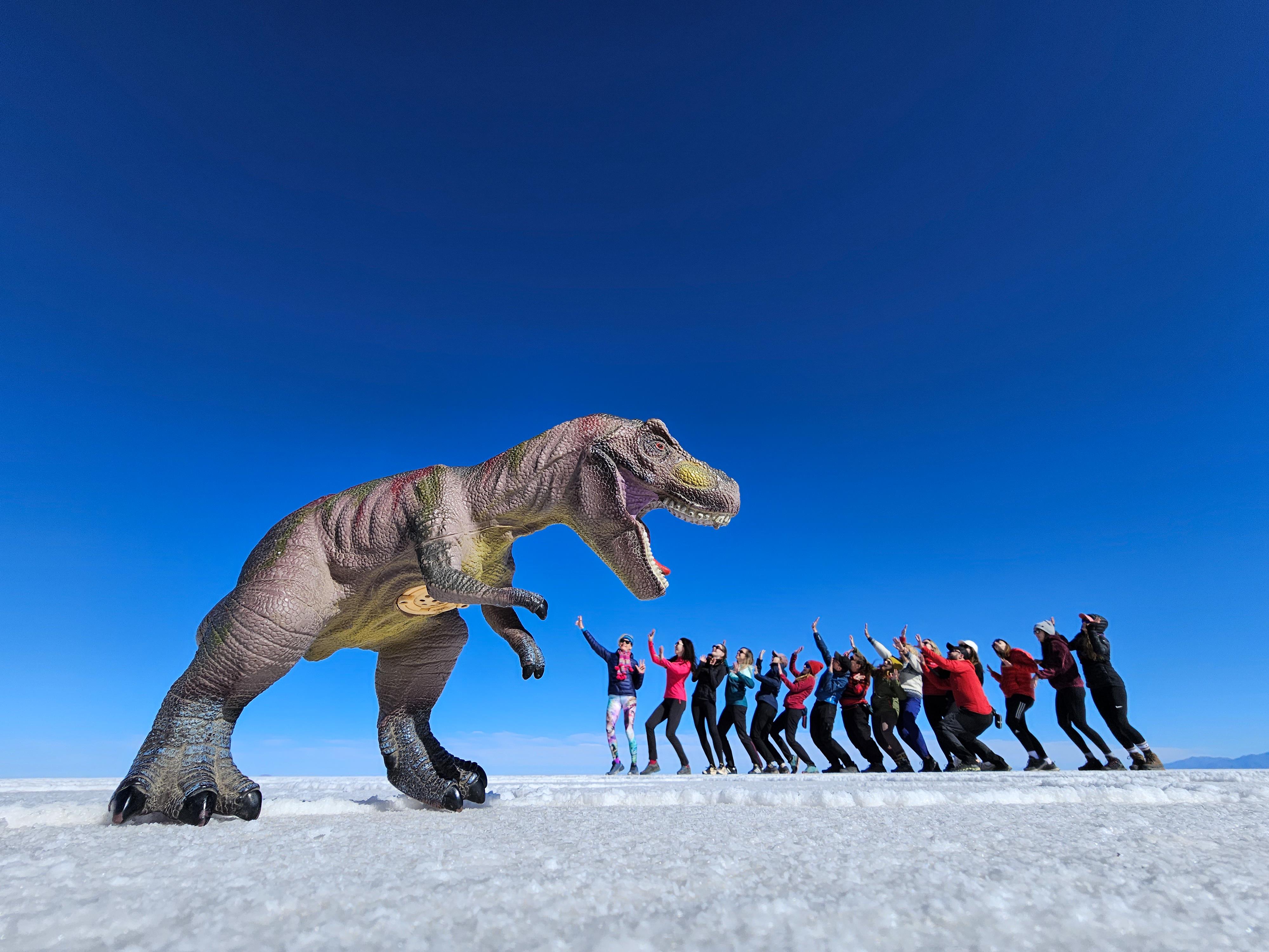 Expédition de 3 jours : Salar de Uyuni et lagunes