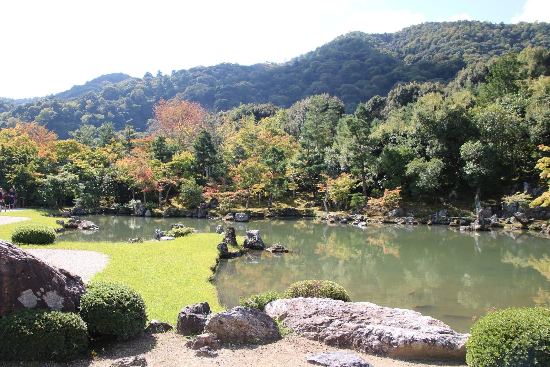嵐山ガイド付きウォーキングツアー：竹林、禅寺、モンキーパーク