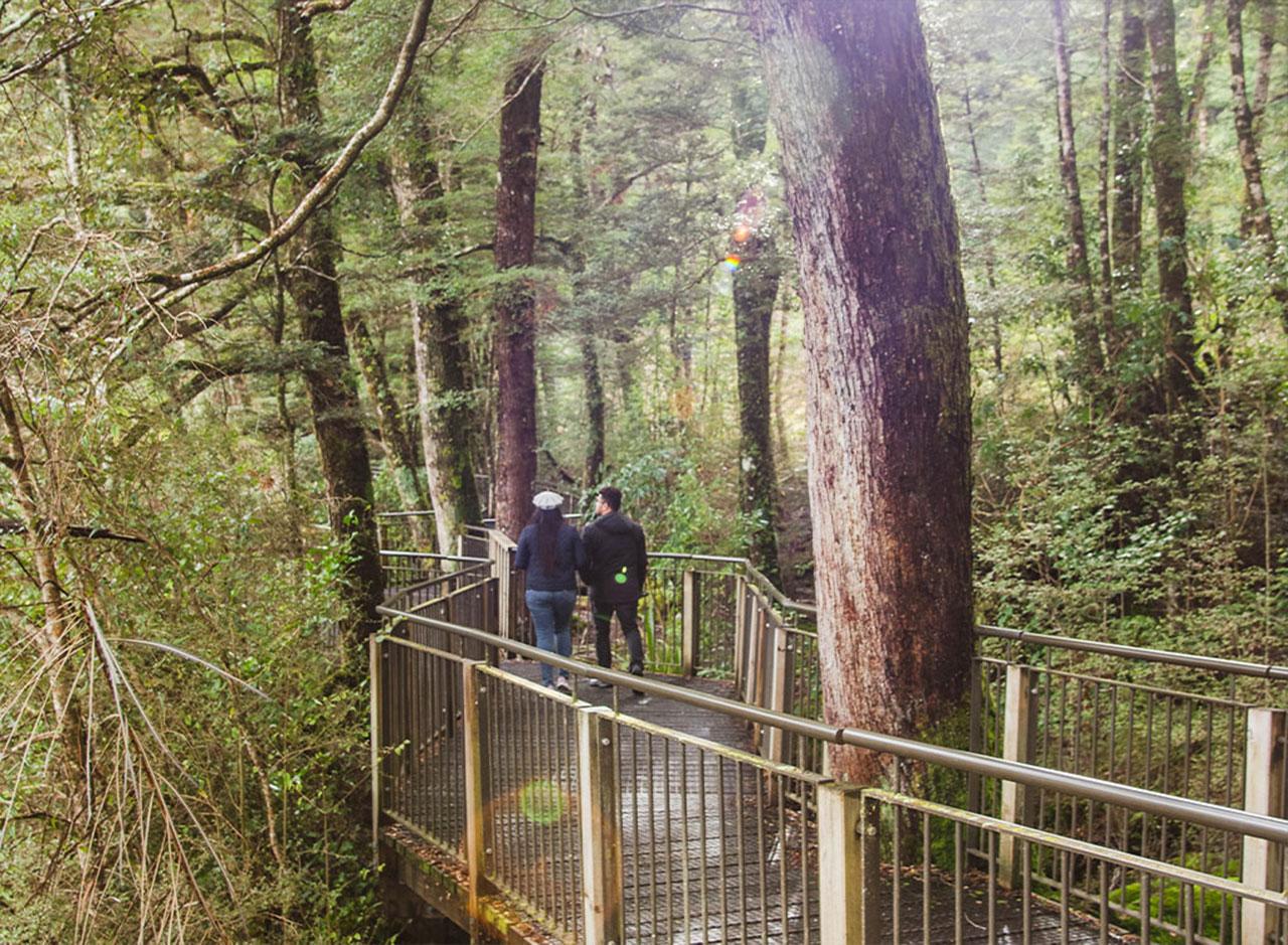 Milford Sound Small-Group Day Tour from Te Anau