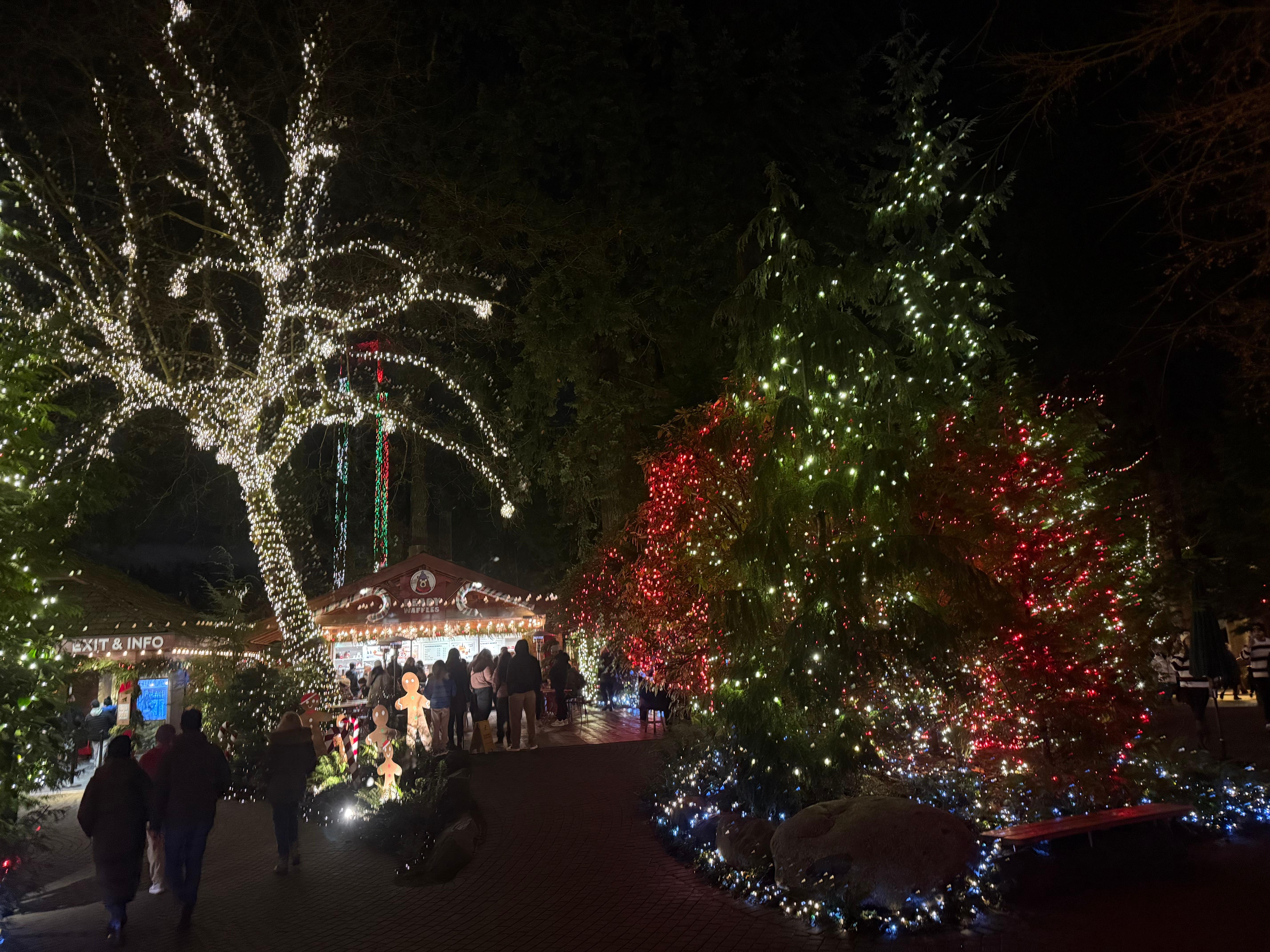 Capilano Suspension Bridge & Stanley Park Small Group Tour