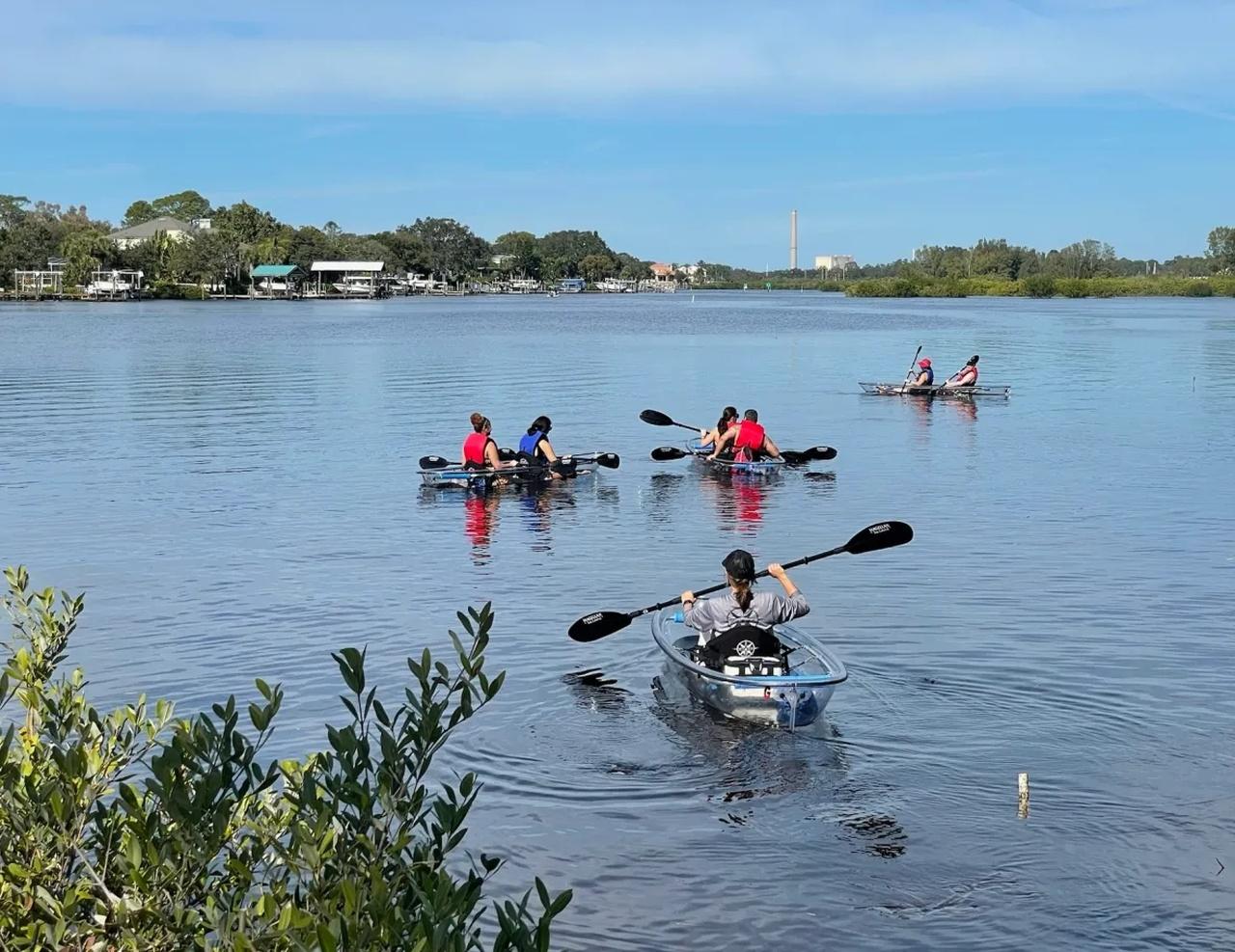 Clear Kayak Eco-Tour with Manatee Viewing