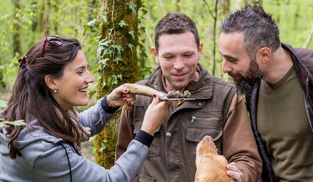 Truffle Hunting Experience in Motovun Forest