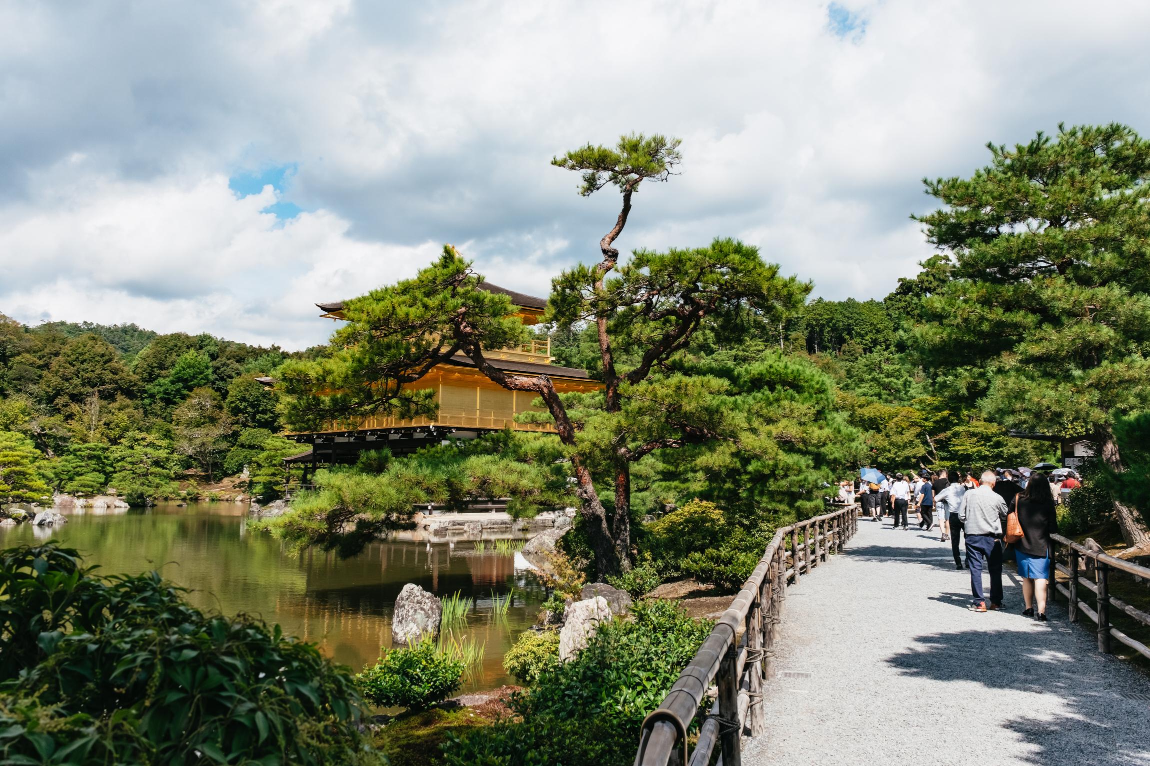 Kyoto in a Day: Bamboo Grove, Nijo Castle & Fushimi Inari Bus Tour
