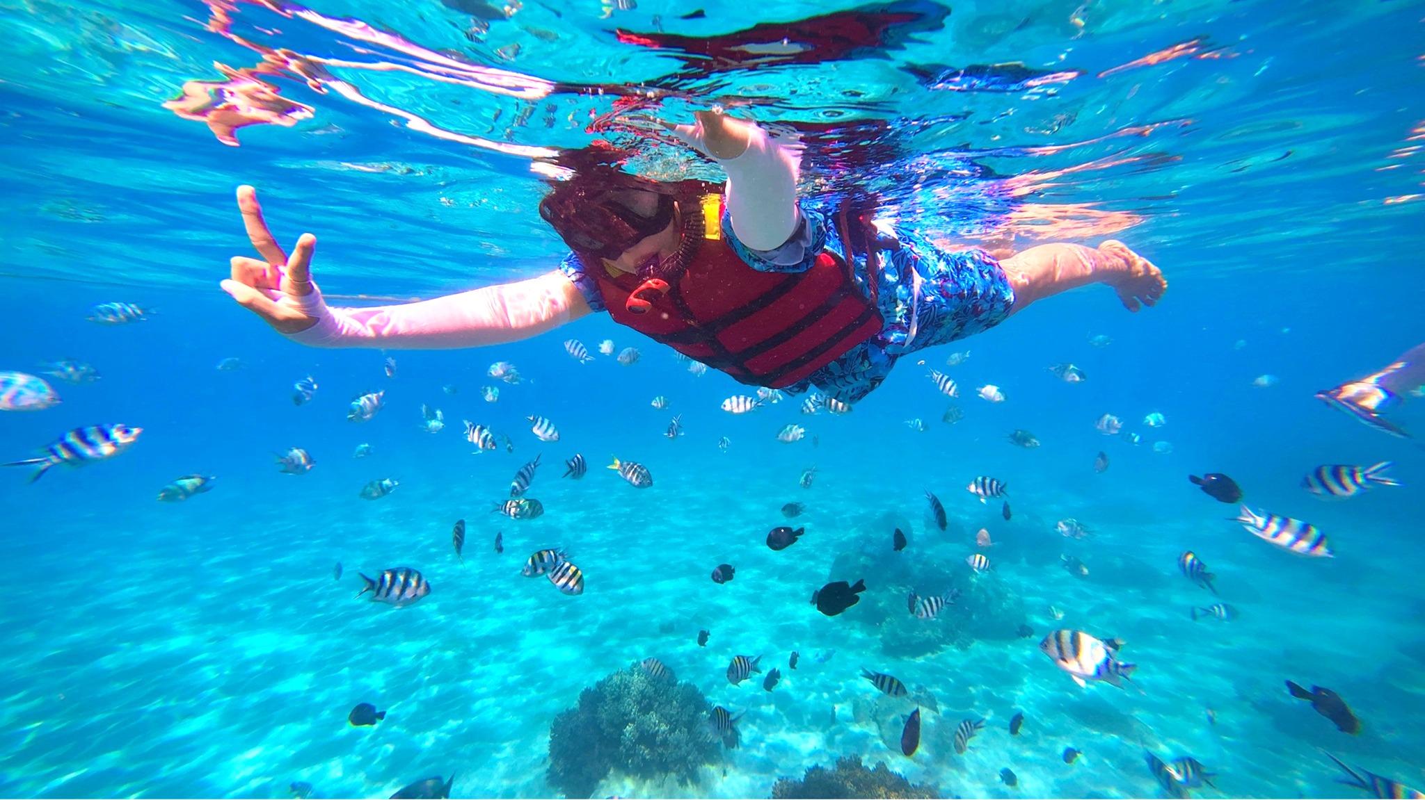 Cham Islands Snorkeling Trip from Da Nang/Hoi An with Lunch