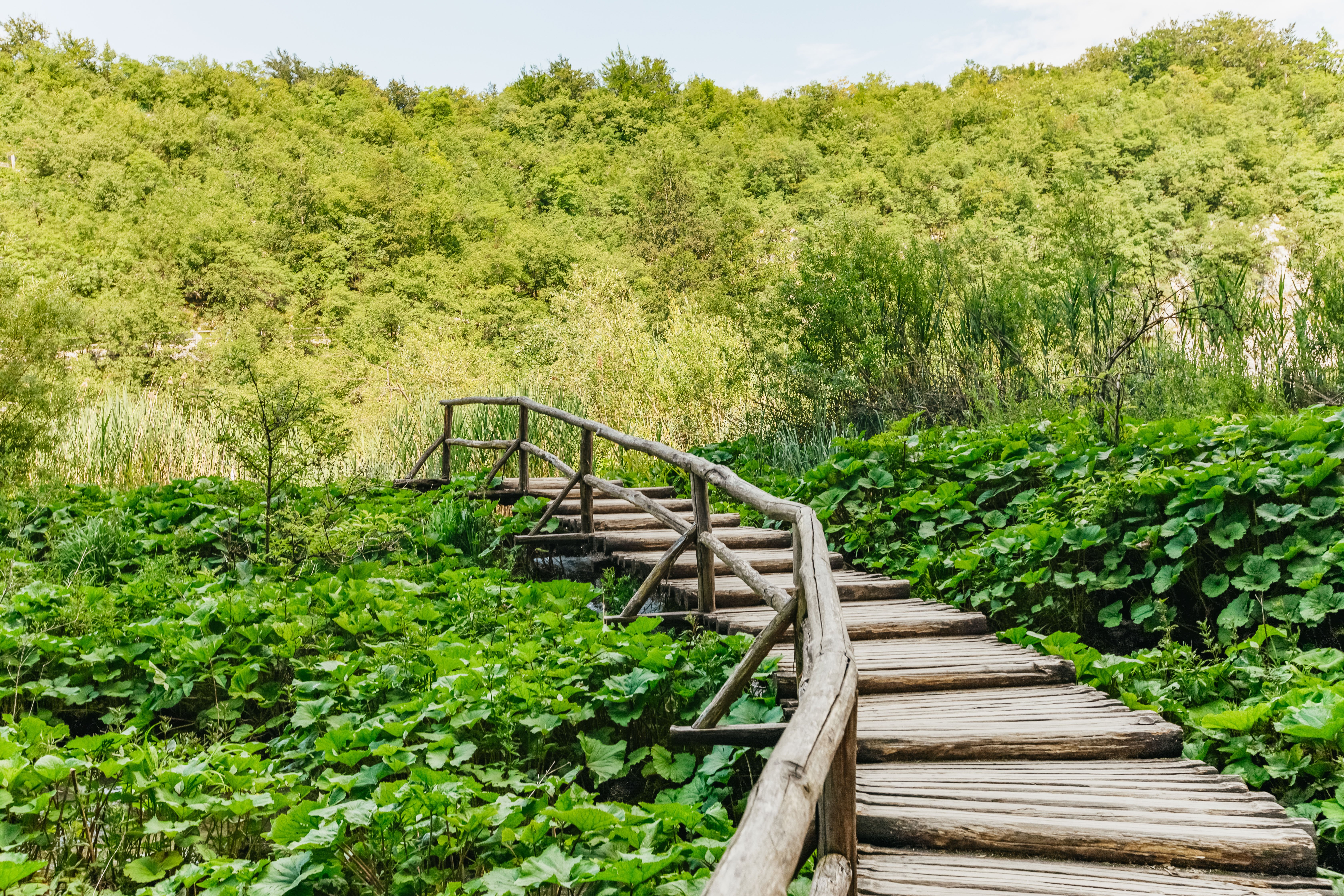 Split to Plitvice Lakes National Park Guided Day Trip