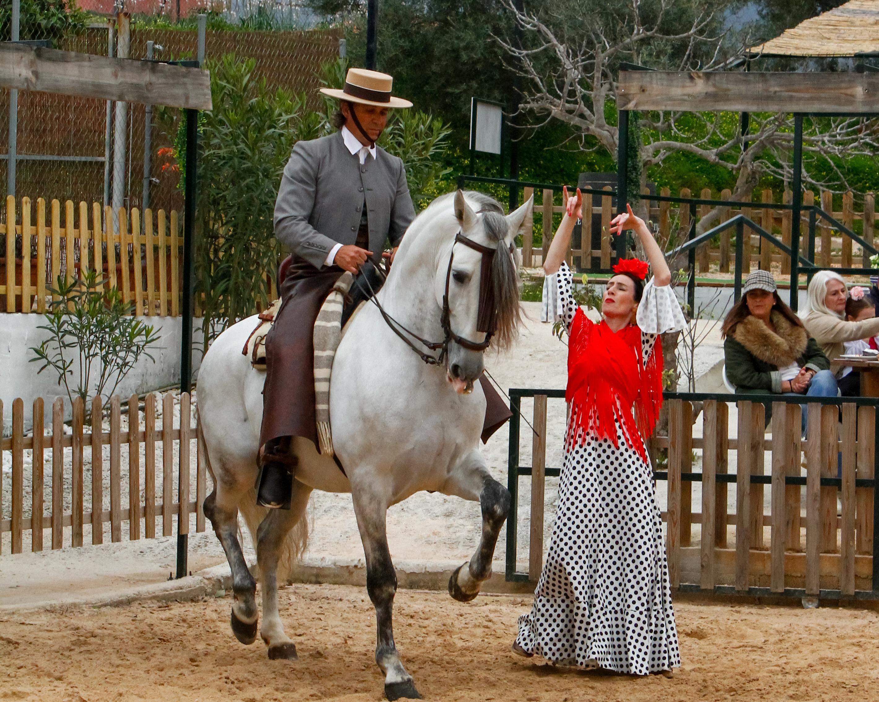 Spanish Horse & Flamenco Fusion Dinner Show in Mijas