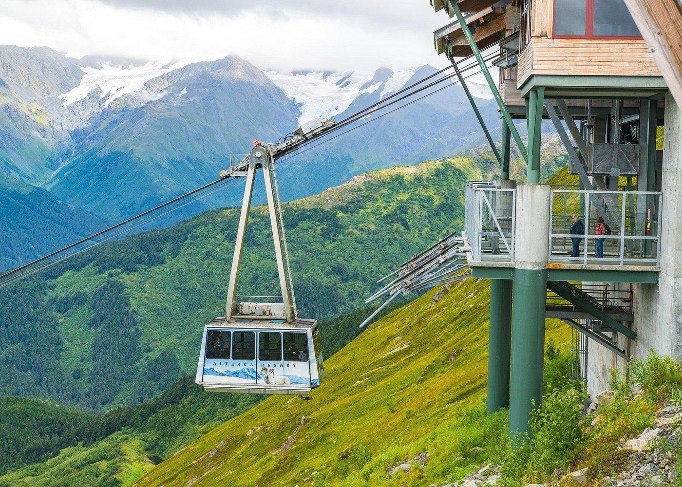 Mount Alyeska Aerial Tram & Wildlife Sanctuary Experience