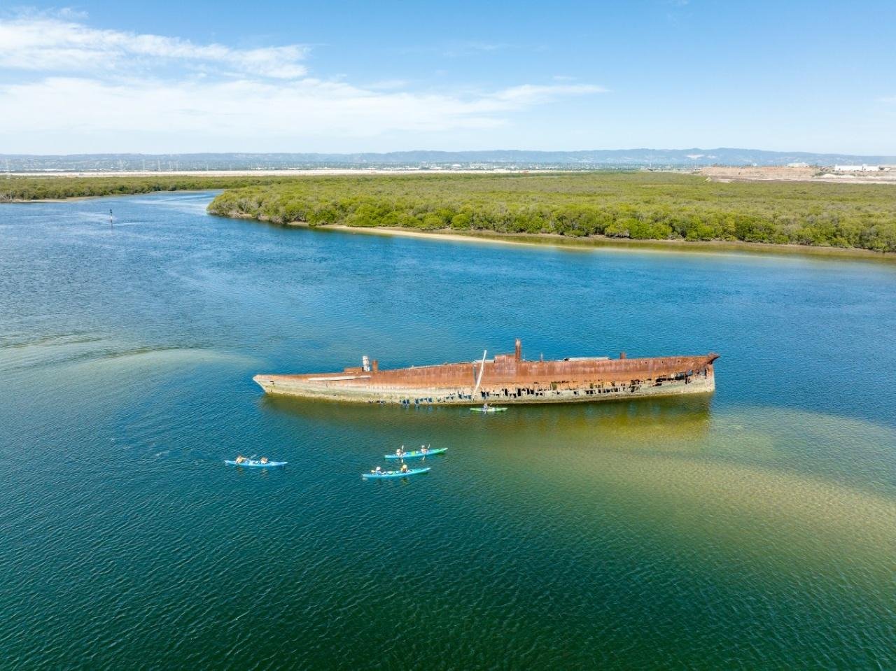 Dolphin Sanctuary & Shipwreck Kayak Adventure