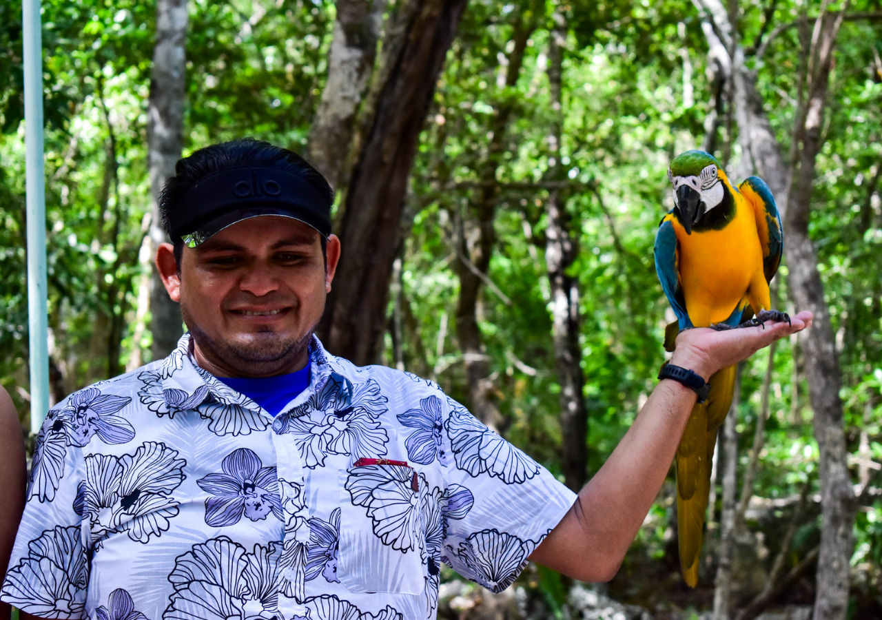 Akumal Monkey Sanctuary, ATV Ride & Cenote Swim