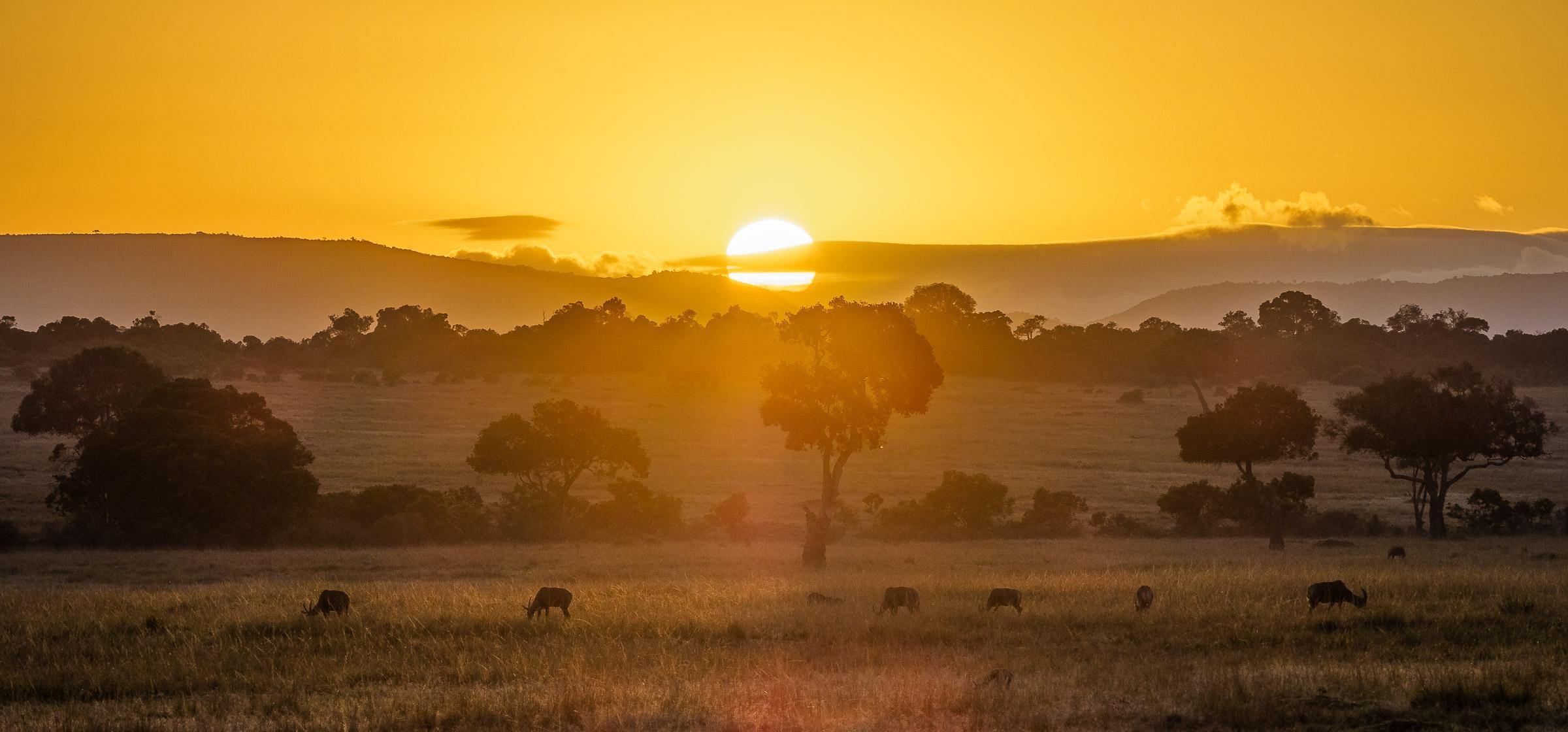 5-Day Private Kenya Safari: Maasai Mara, Nakuru & Naivasha