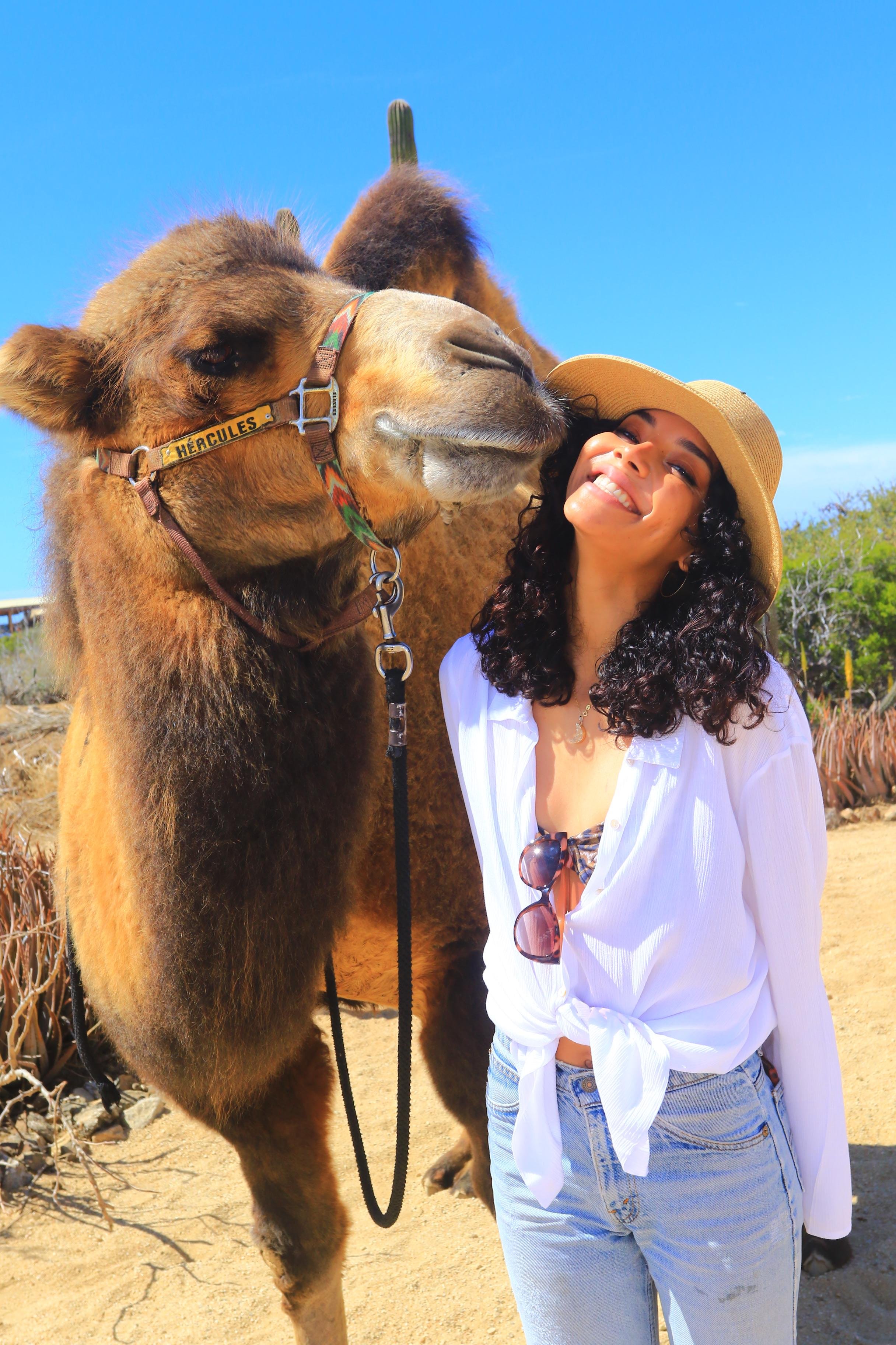 Cabo Camel Ride & UTV Desert Combo