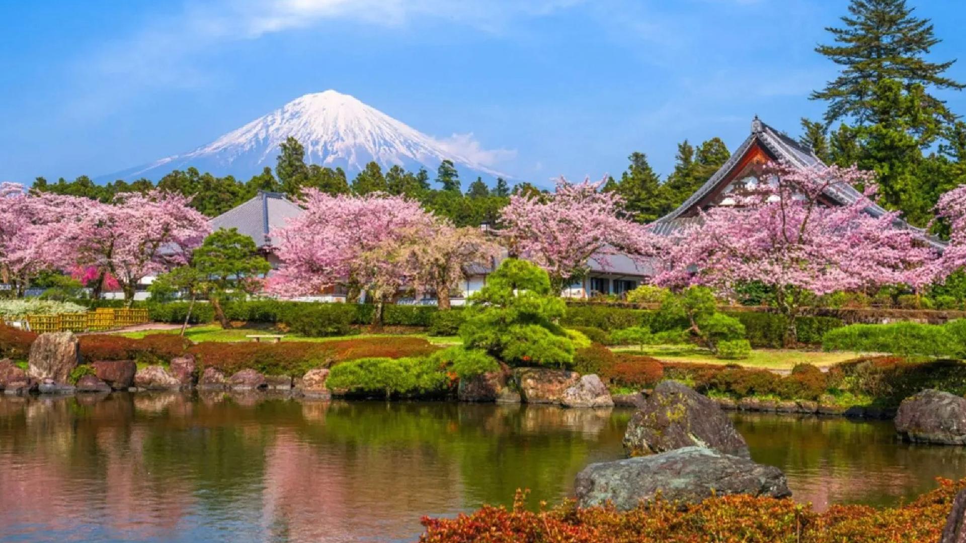 Mt. Fuji 5th Station, Hot Spring, and Oshino Hakkai Day Tour — Japanese onsen experience photo 3