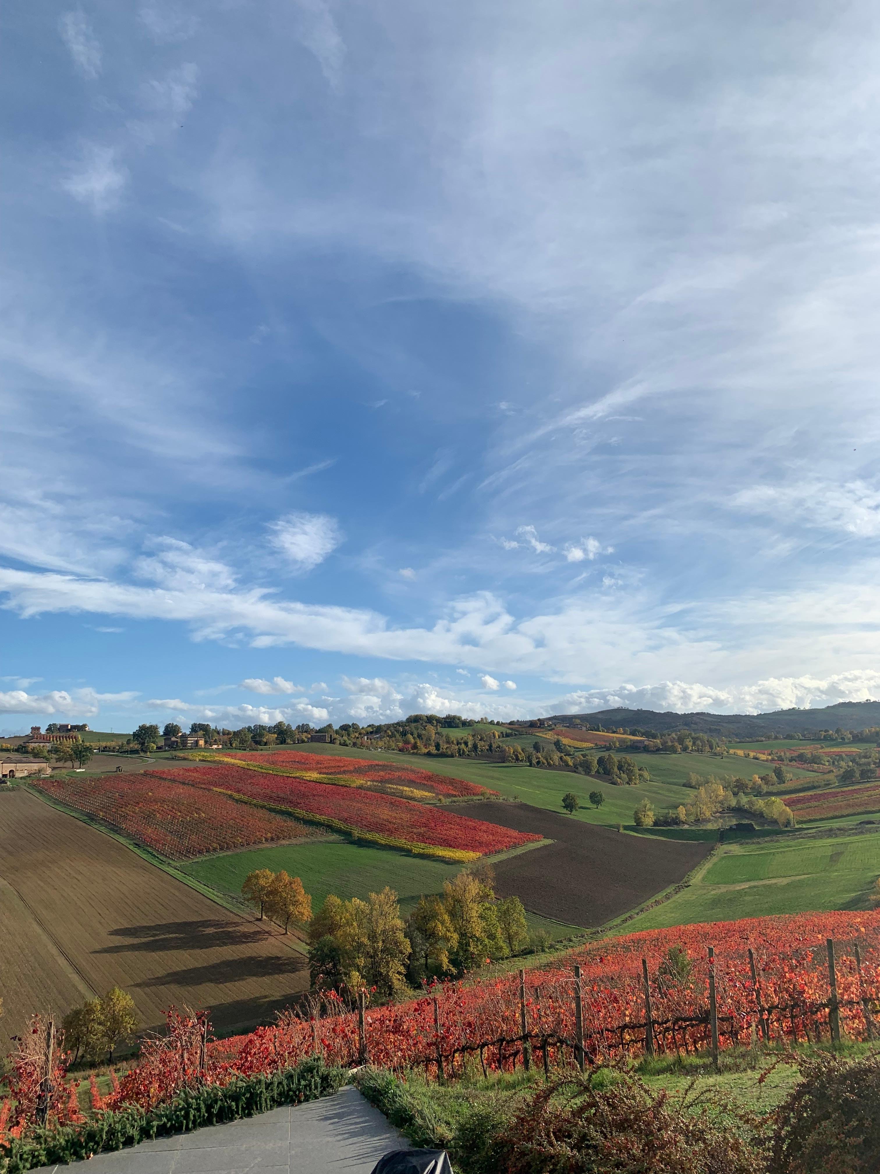 Modena Food & Wine Day Trip: Parmesan, Balsamic Vinegar & Lunch