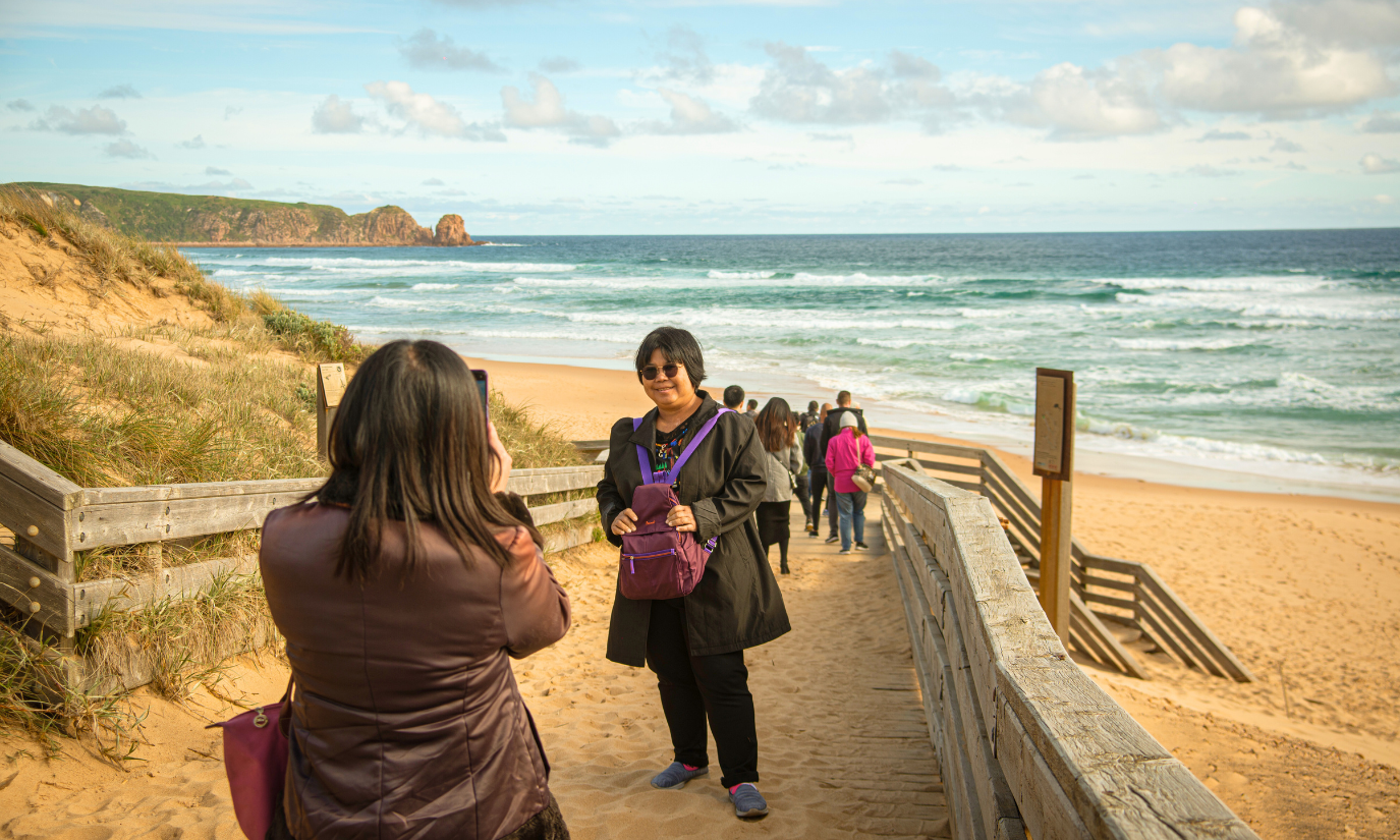 Phillip Island Penguin Parade Afternoon Express from Melbourne