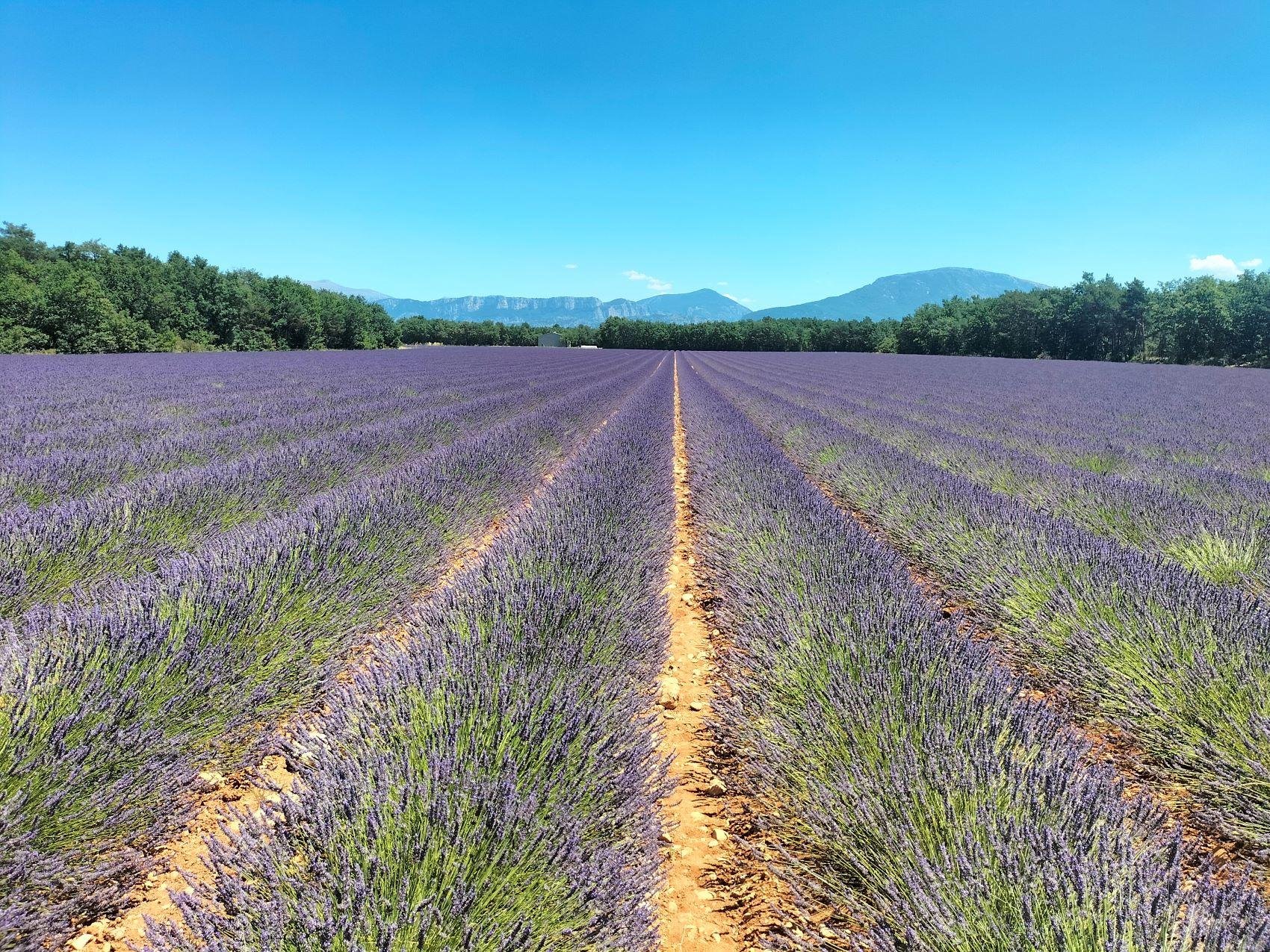 Gorges du Verdon in Provence — Verdon Gorge tour photo 17