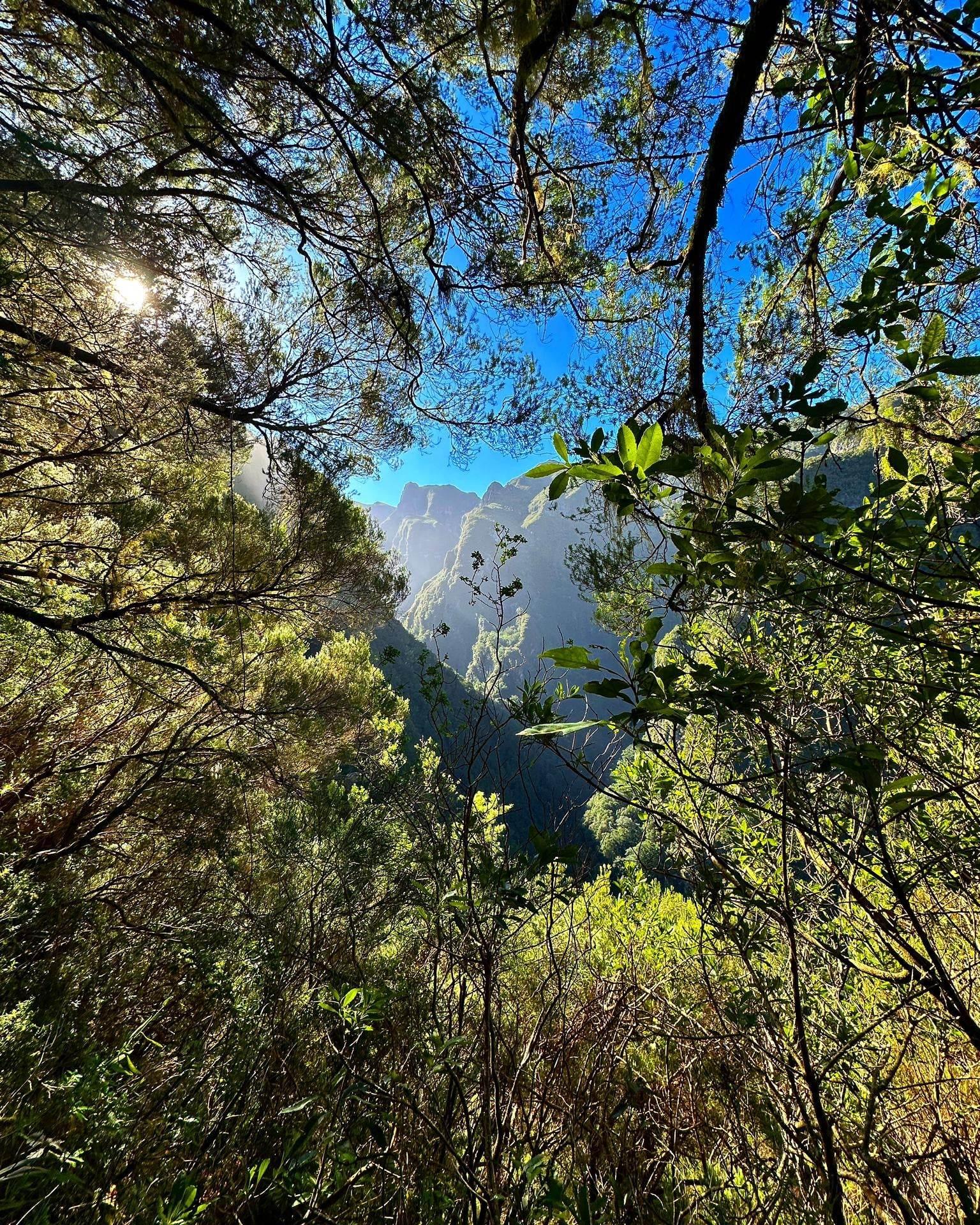 Caldeirão Verde Waterfall Hike