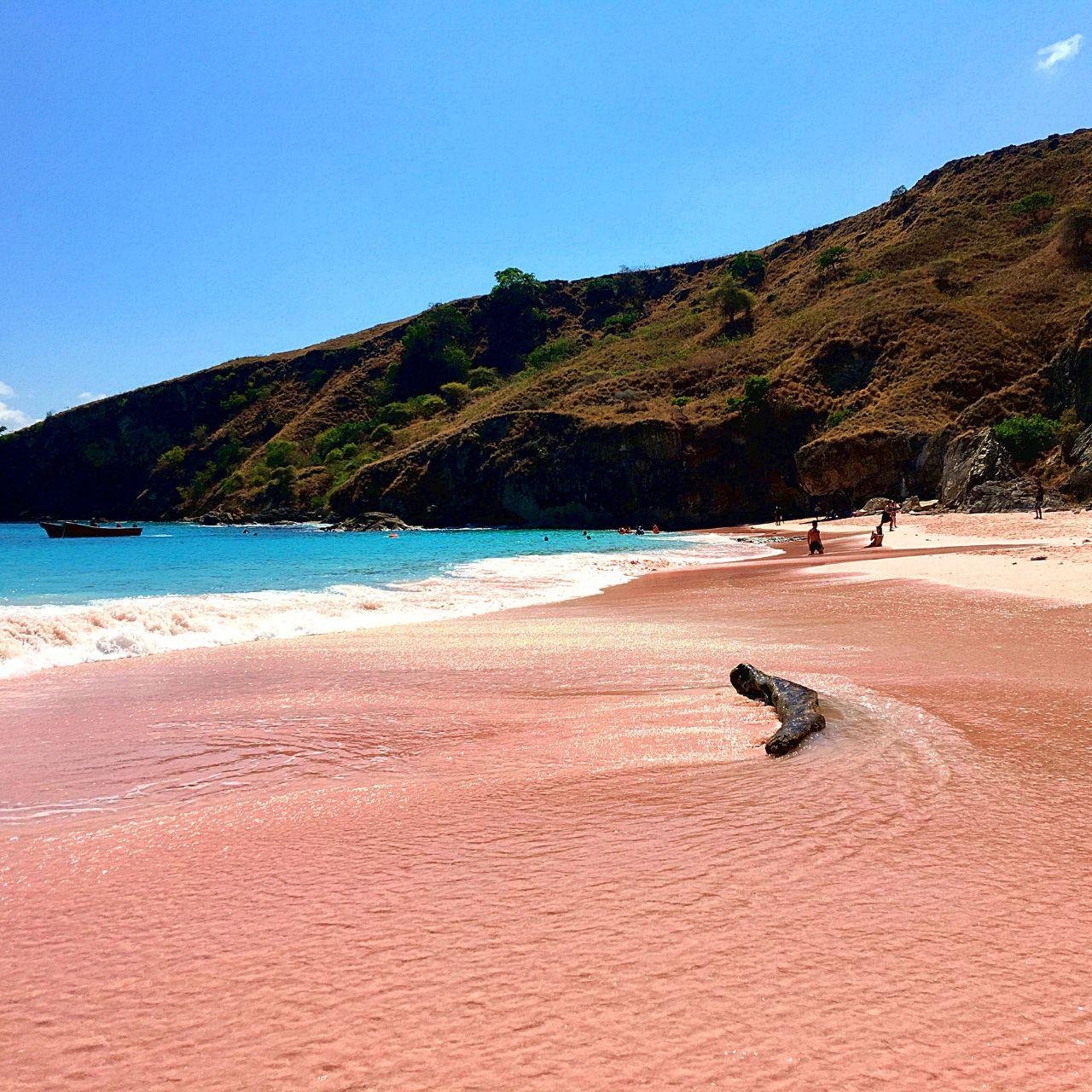 Komodo Island Full-Day Adventure: Hiking, Dragons & Snorkeling