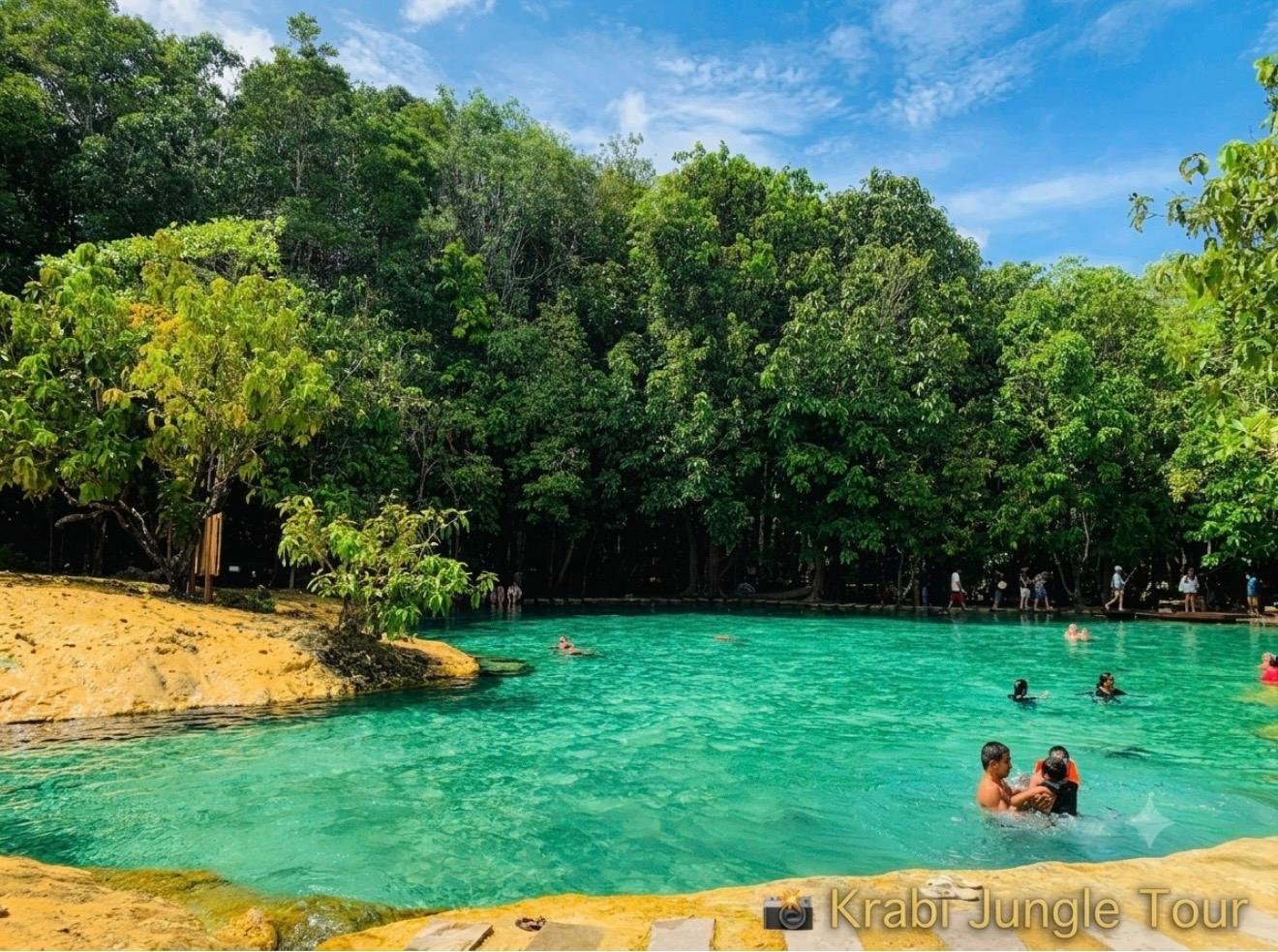 Krabi Jungle Day Tour: Hot Spring, Emerald Pool & Tiger Cave Temple