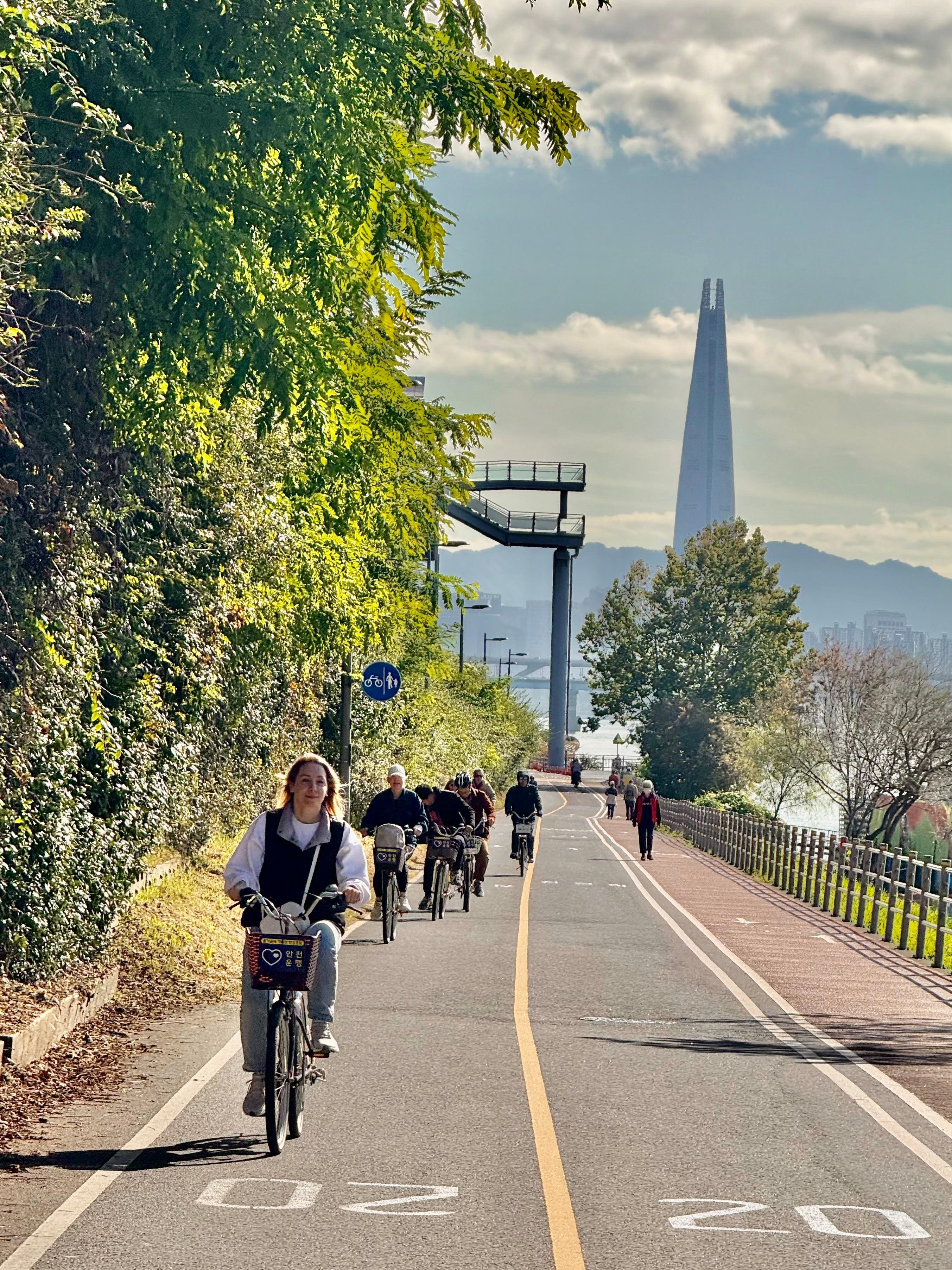 Seoul: Morning Bike Tour along the Han River