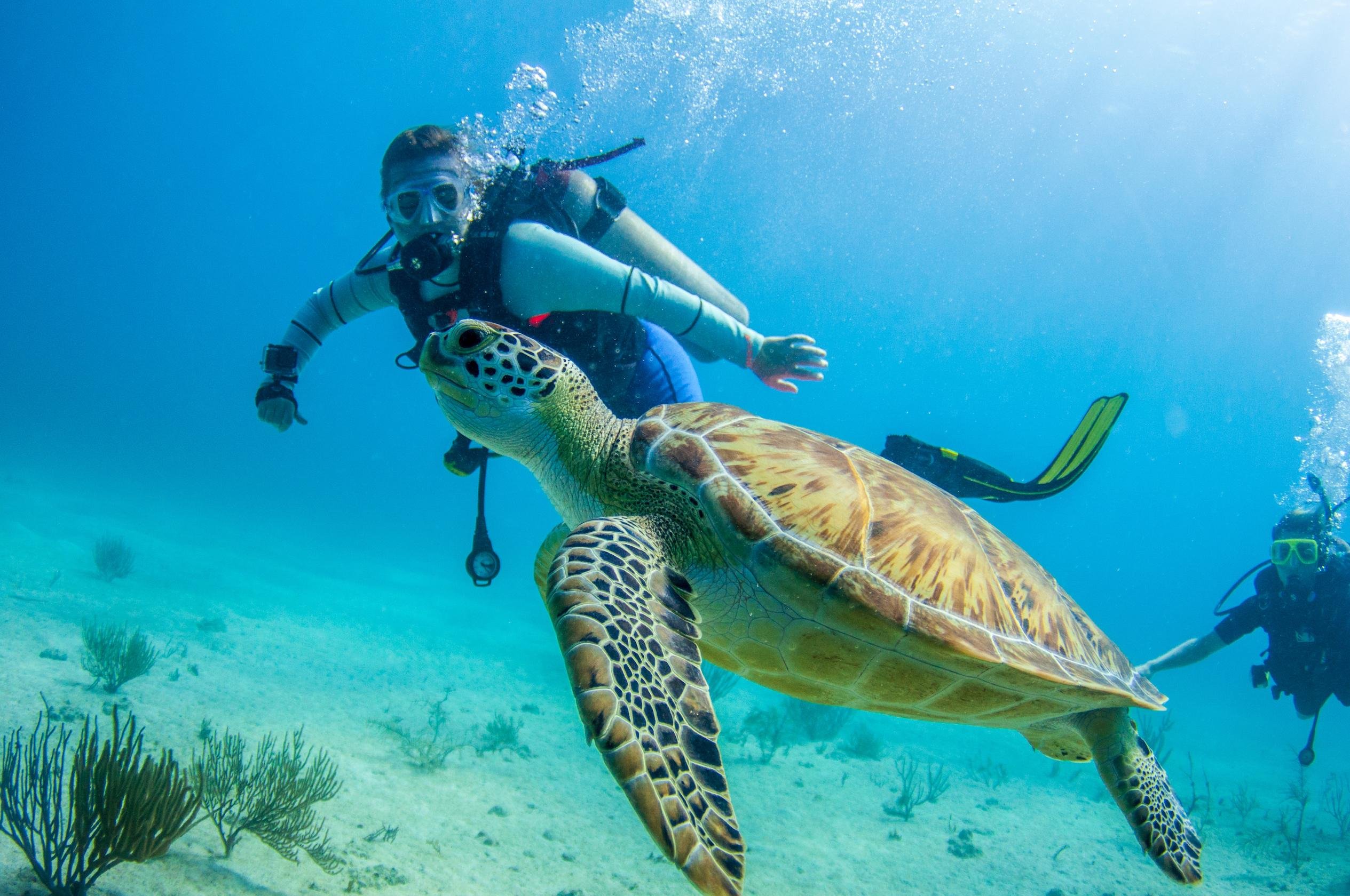 Private 2-Tank Scuba Diving in National Park